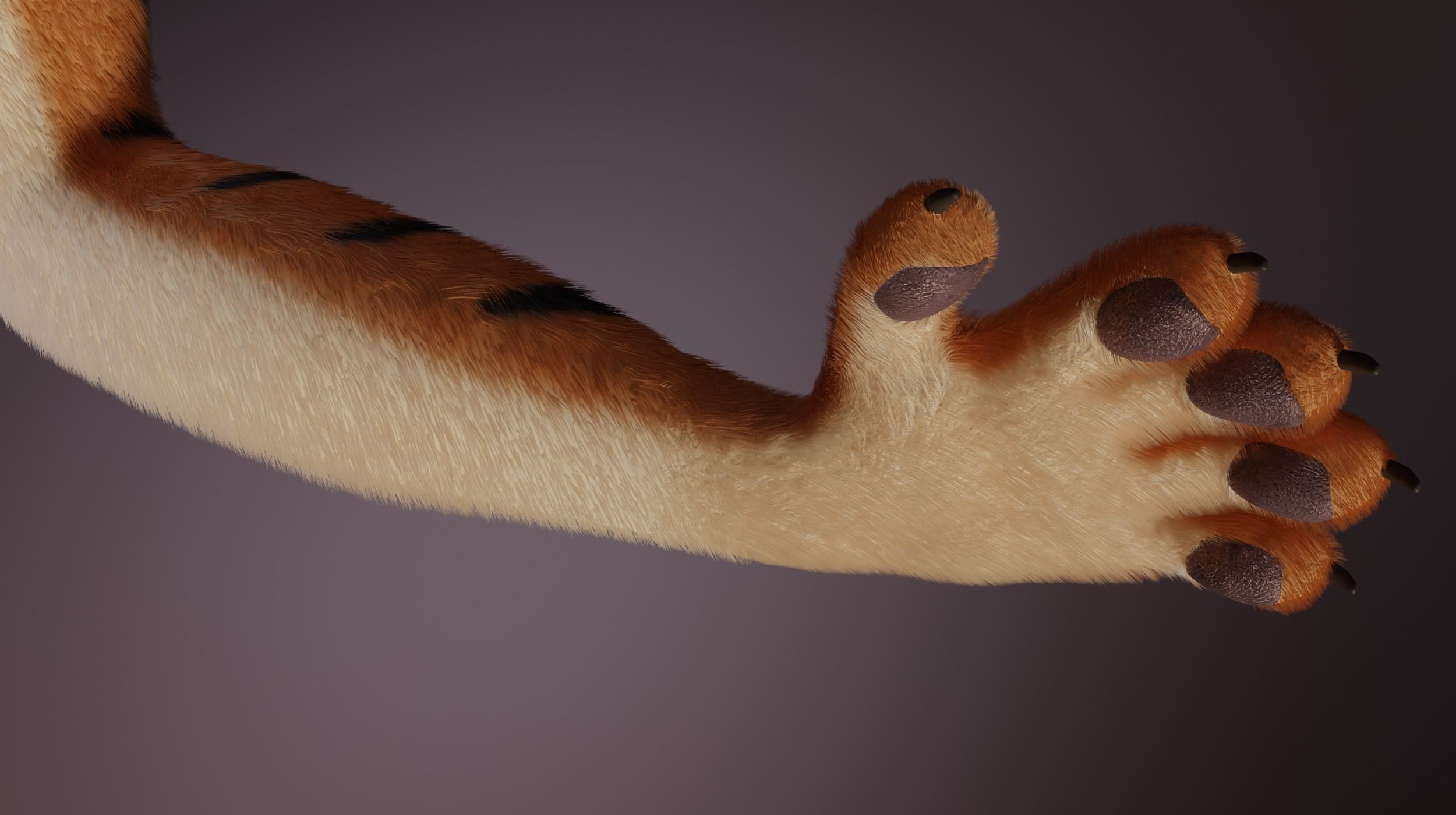 Morgana Anthro Tiger 3D model_12