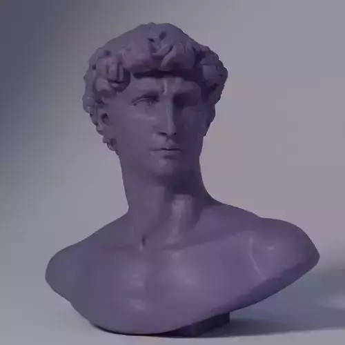 Michelangelos Statue of David Bust Optimized for 3Dprinting