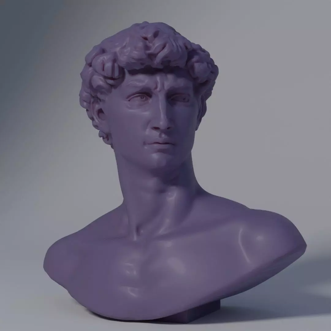 Michelangelos Statue of David Bust Optimized for 3Dprinting 3D print model_0