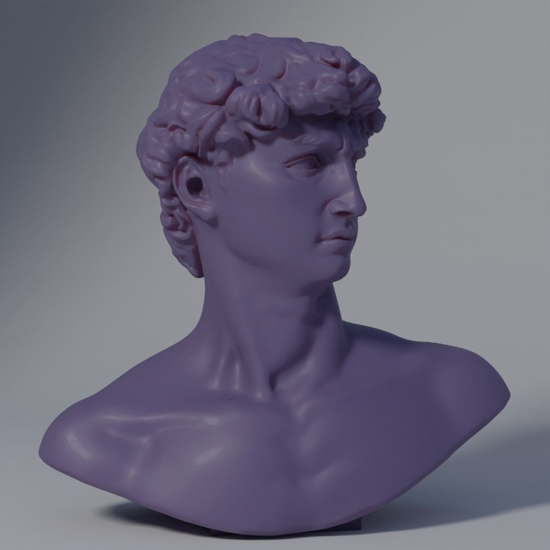 Michelangelos Statue of David Bust Optimized for 3Dprinting 3D print model_1