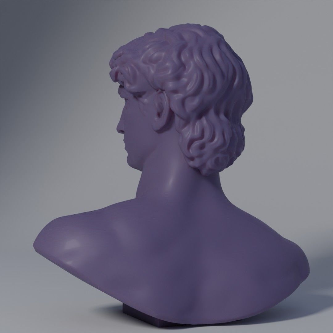 Michelangelos Statue of David Bust Optimized for 3Dprinting 3D print model_2