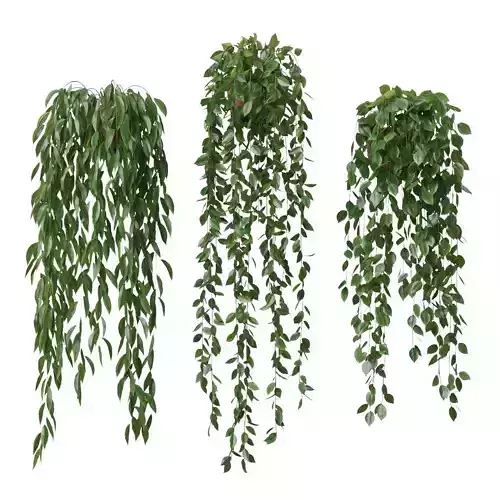 Pot Plants Vase Set 3D model