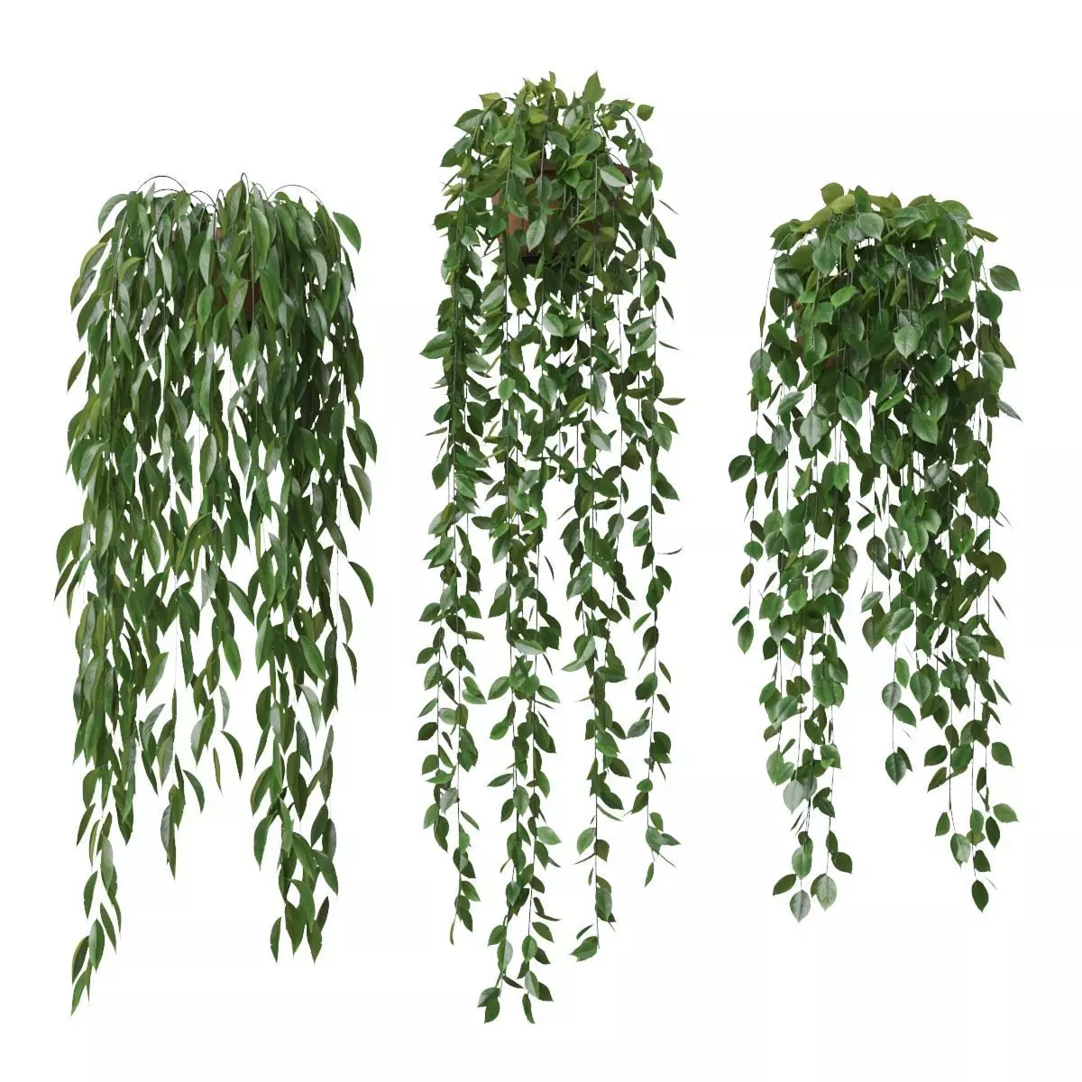 Pot Plants Vase Set 3D model_0