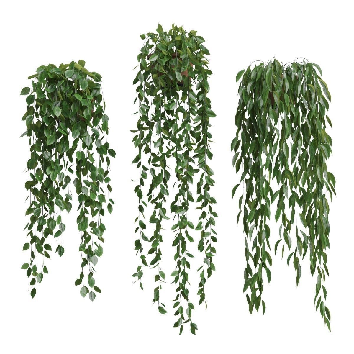 Pot Plants Vase Set 3D model_2