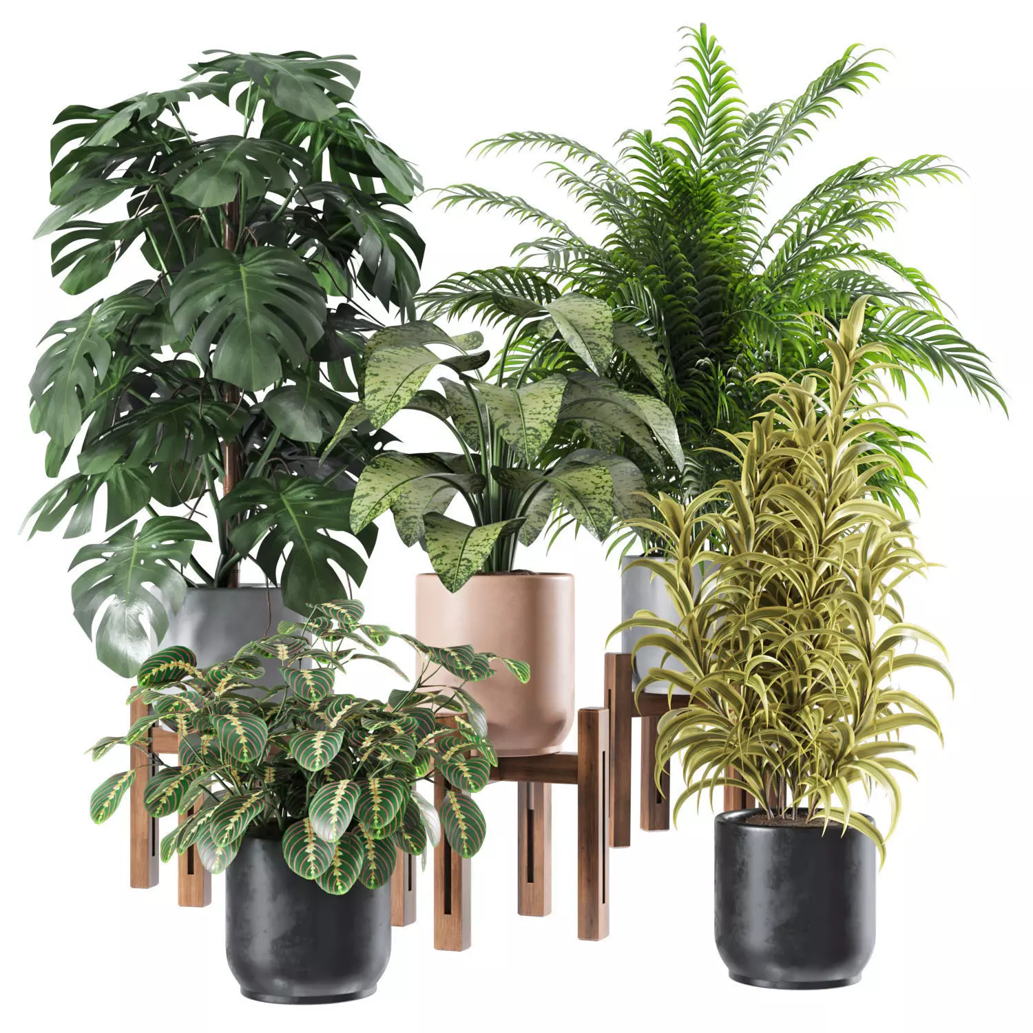 Indoor Plants Set 01 3D model