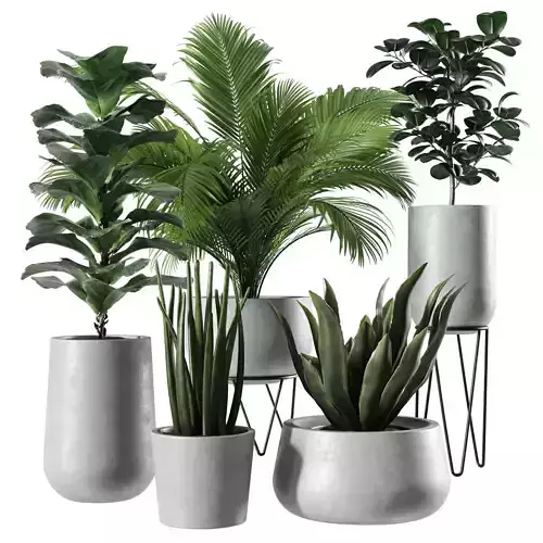 Indoor Plants Set 02