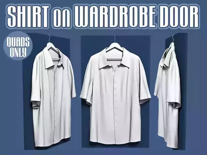Shirt on wardrobe door