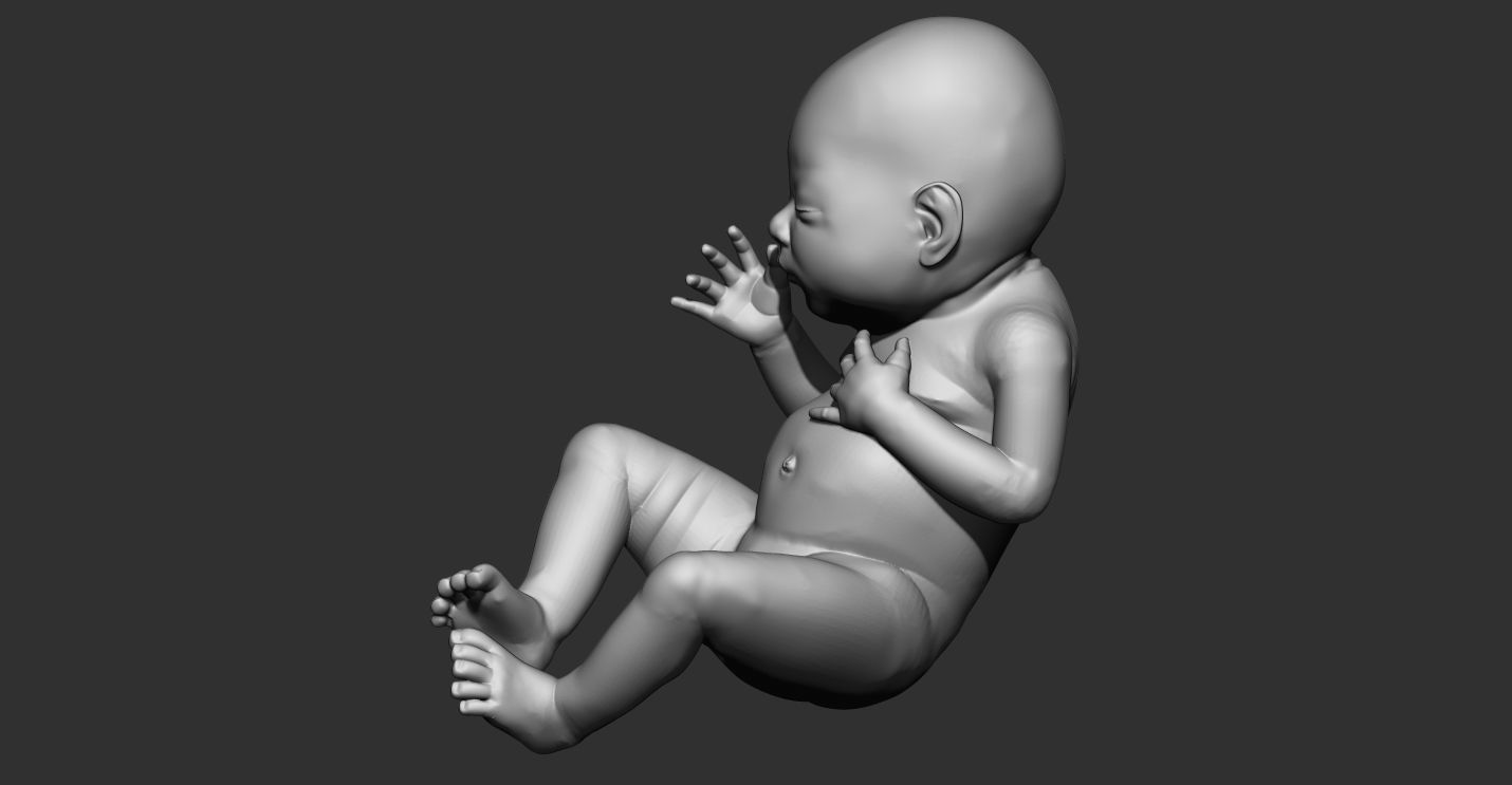 New born baby Boy 3d model for 3d printing multi poses 3D print model_13