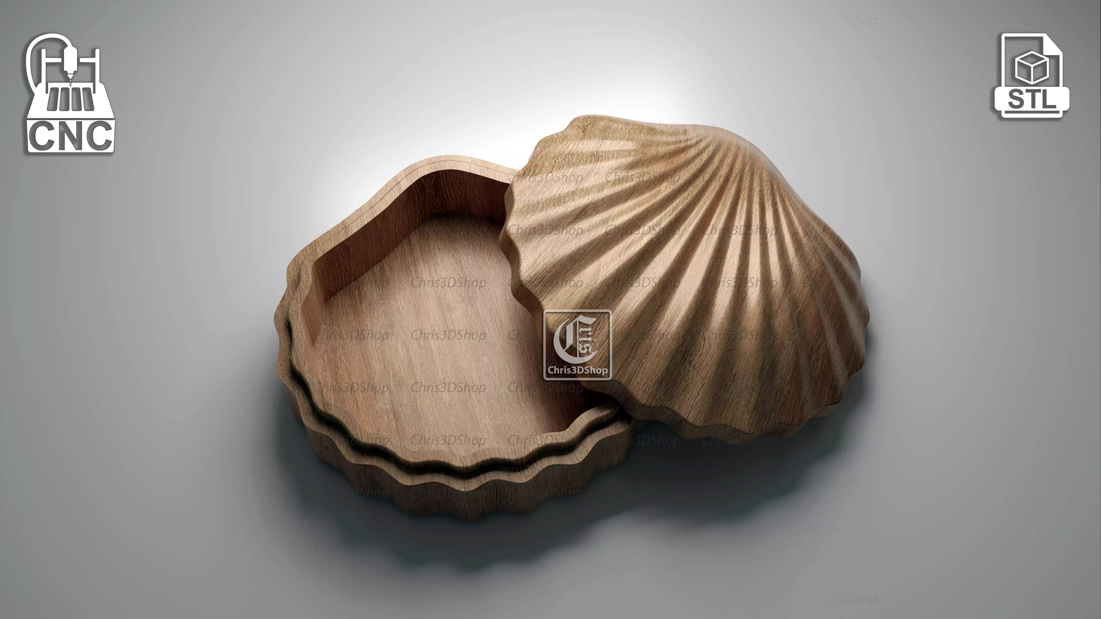 Sea Shell Jewelry Box -3D STL for CNC and 3D Printer 3D print model_0