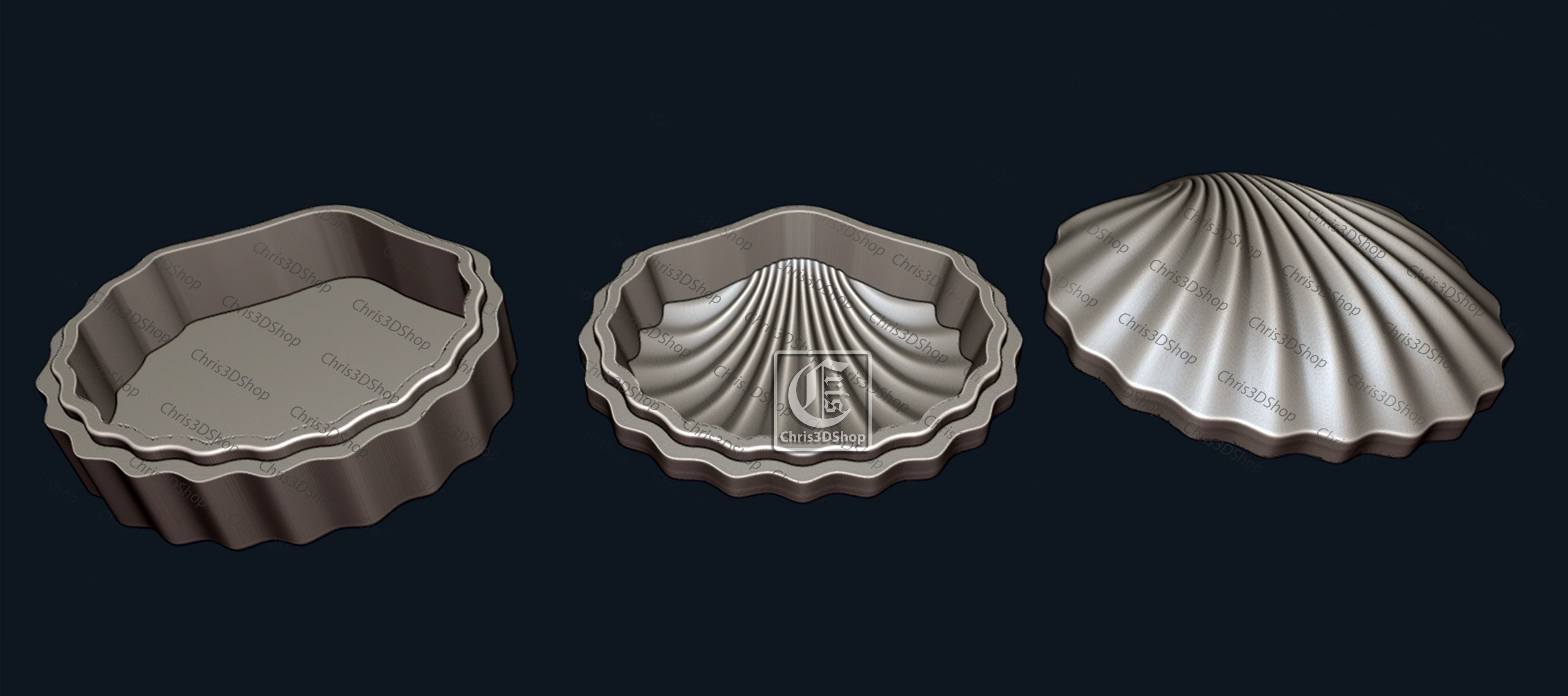 Sea Shell Jewelry Box -3D STL for CNC and 3D Printer 3D print model_1