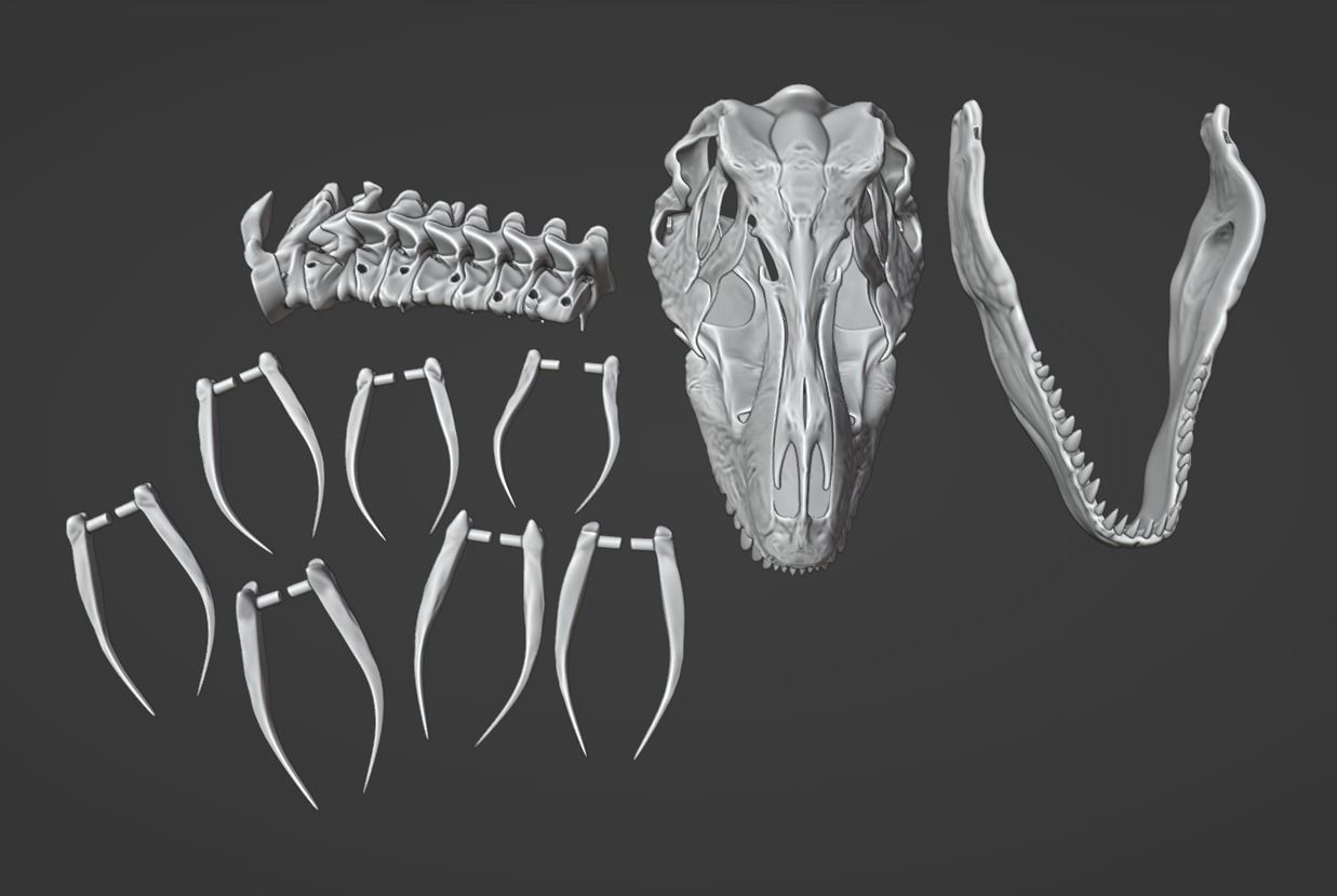 T-REX printable ready 3D print model_2