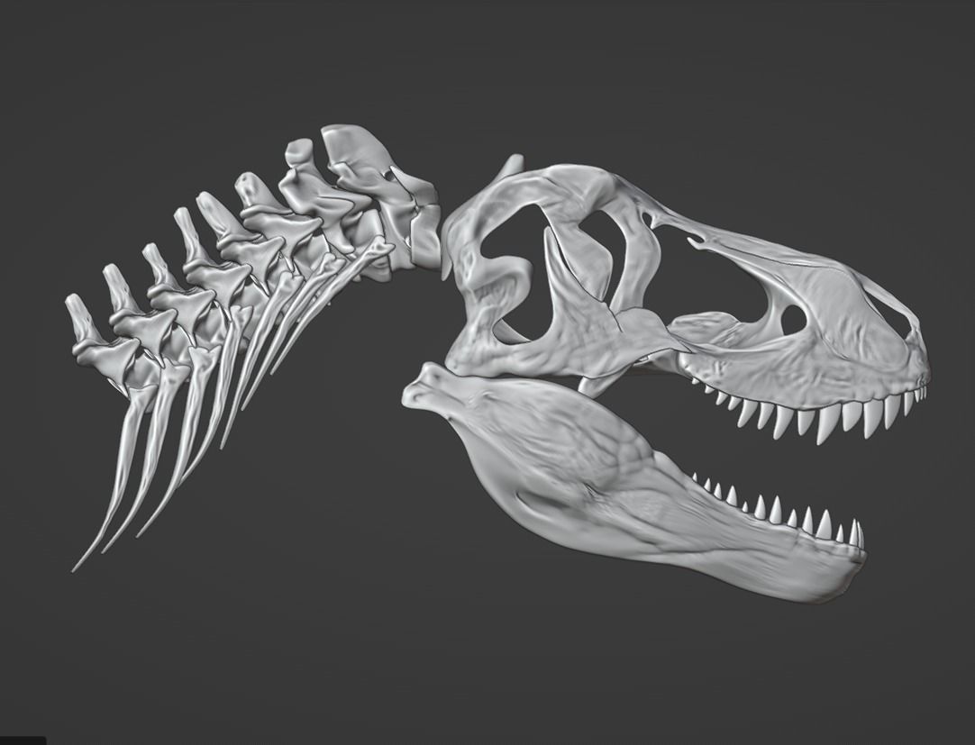 T-REX printable ready 3D print model_4