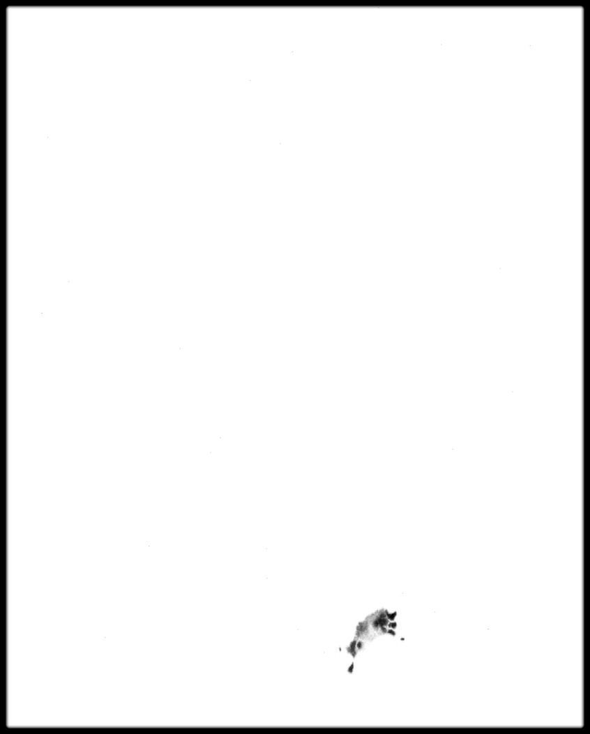 Portugal High resolution 37k cavity map Texture_3