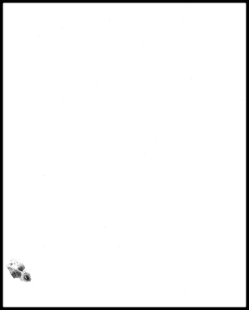 Portugal High resolution 37k cavity map Texture_4