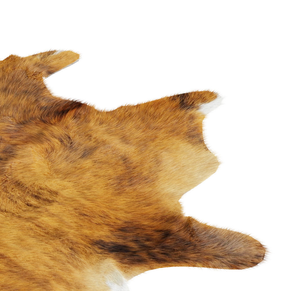 Animal skin rug 08 3D model_3