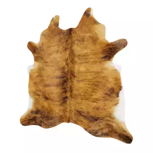 Animal skin rug 08