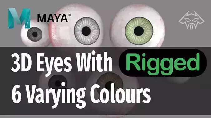 3D eyes with 6 varing eye colours- Rigged 3D model