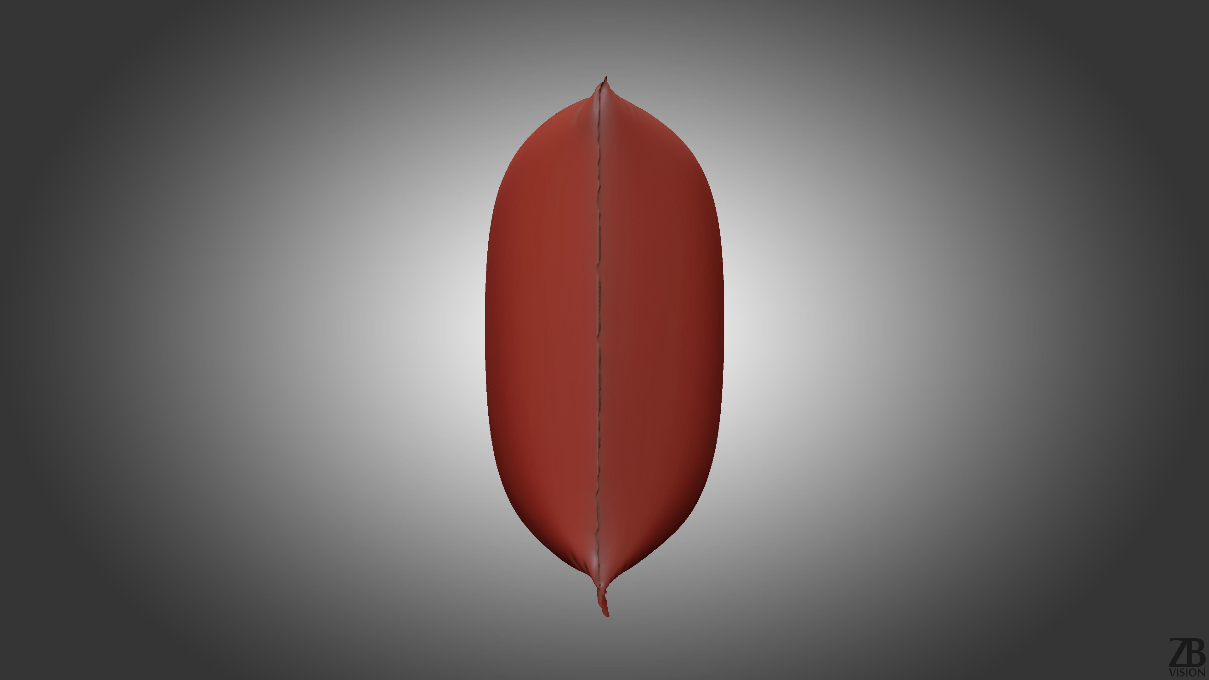 Square balloon 3D model_3