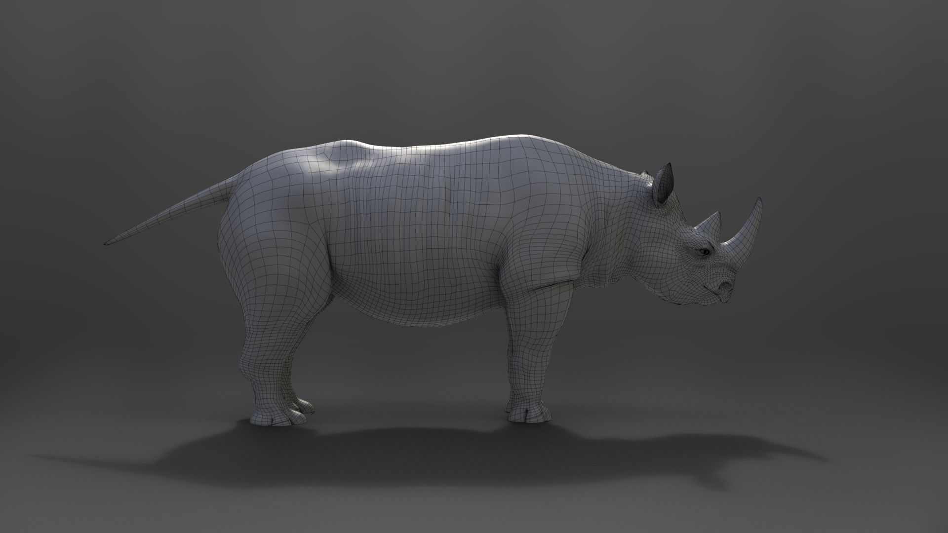 African Rhinoceros Animated VFX Grace 3D model_14