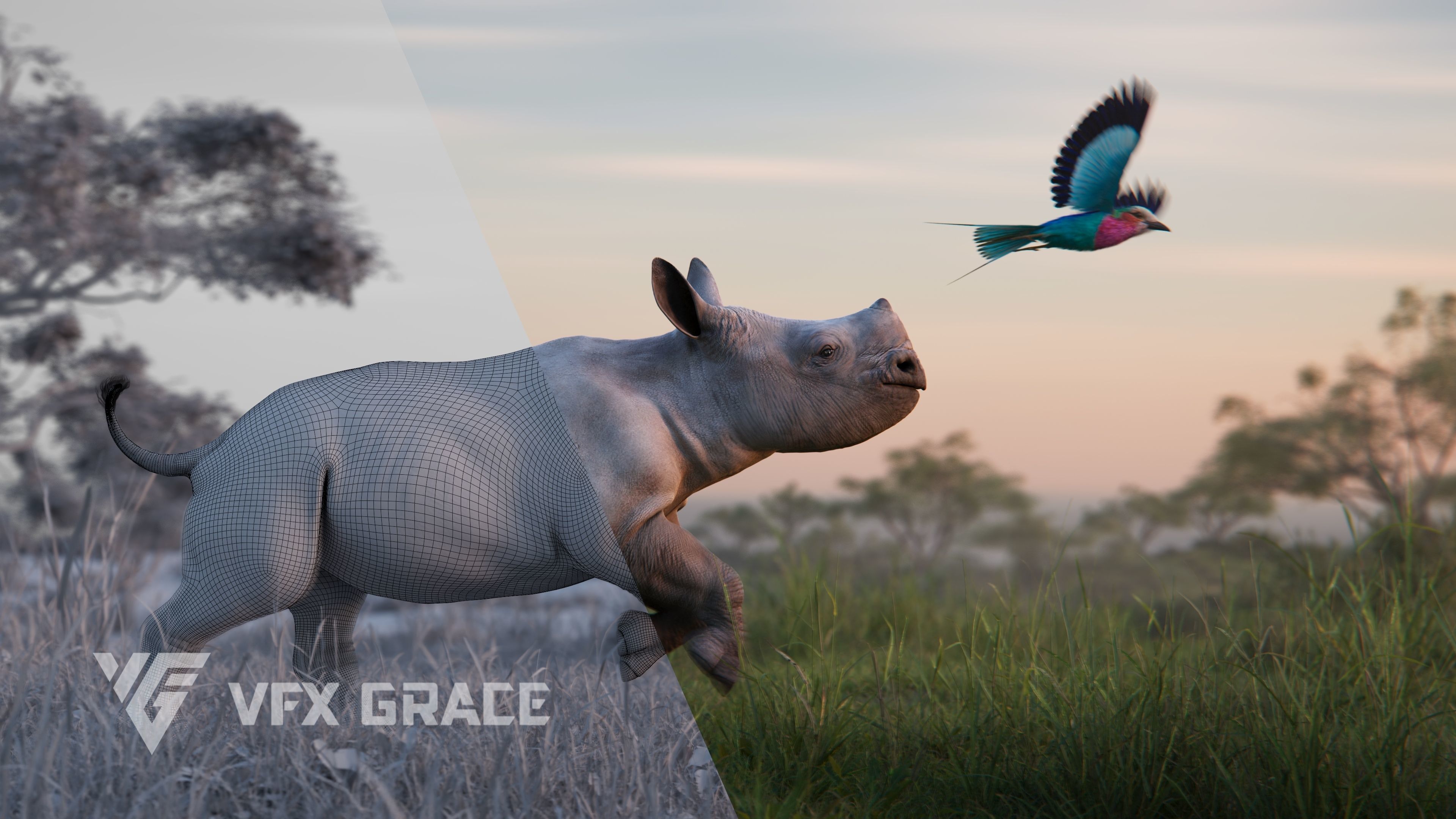 African Rhinoceros Animated VFX Grace 3D model_6