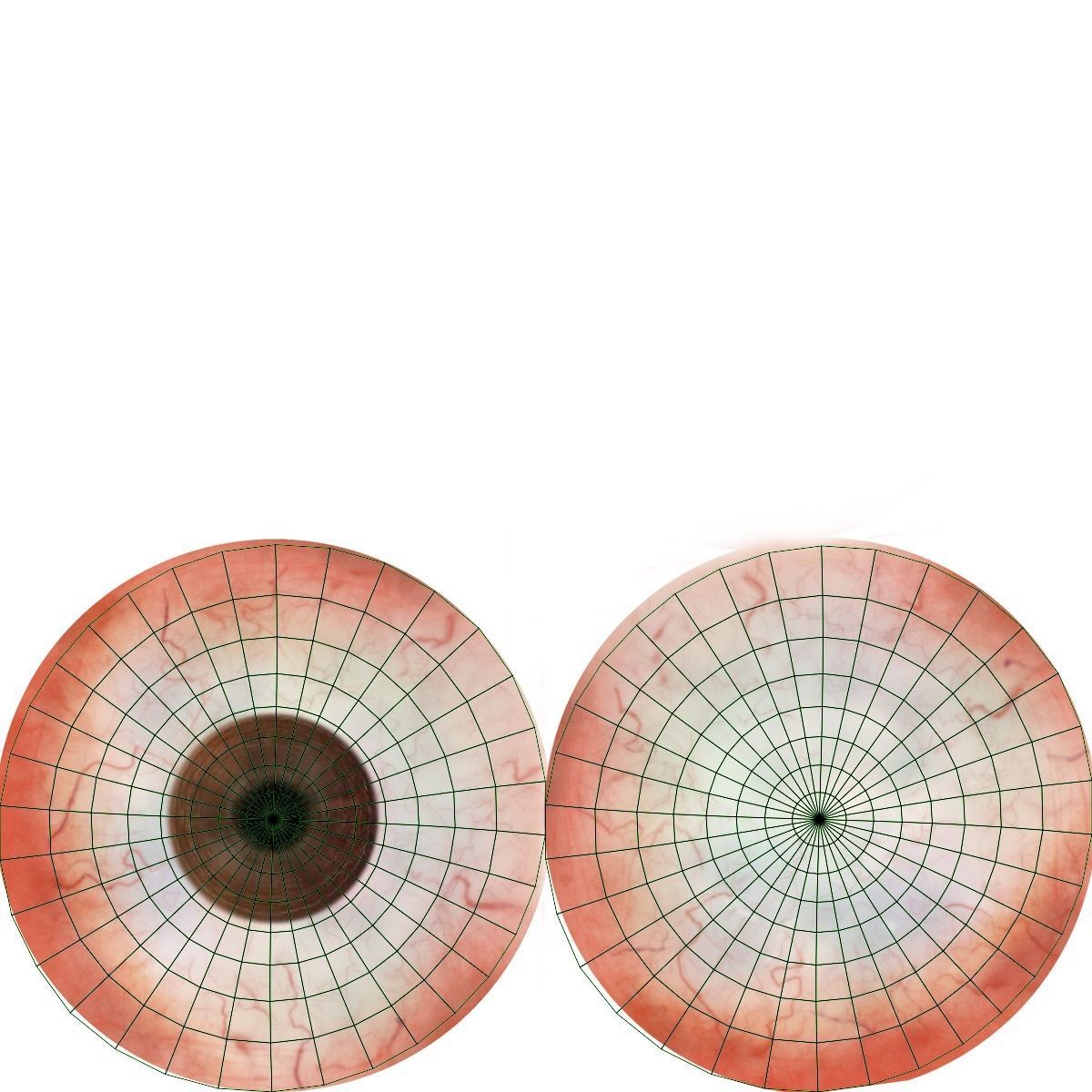 African Rhinoceros Animated VFX Grace 3D model_19