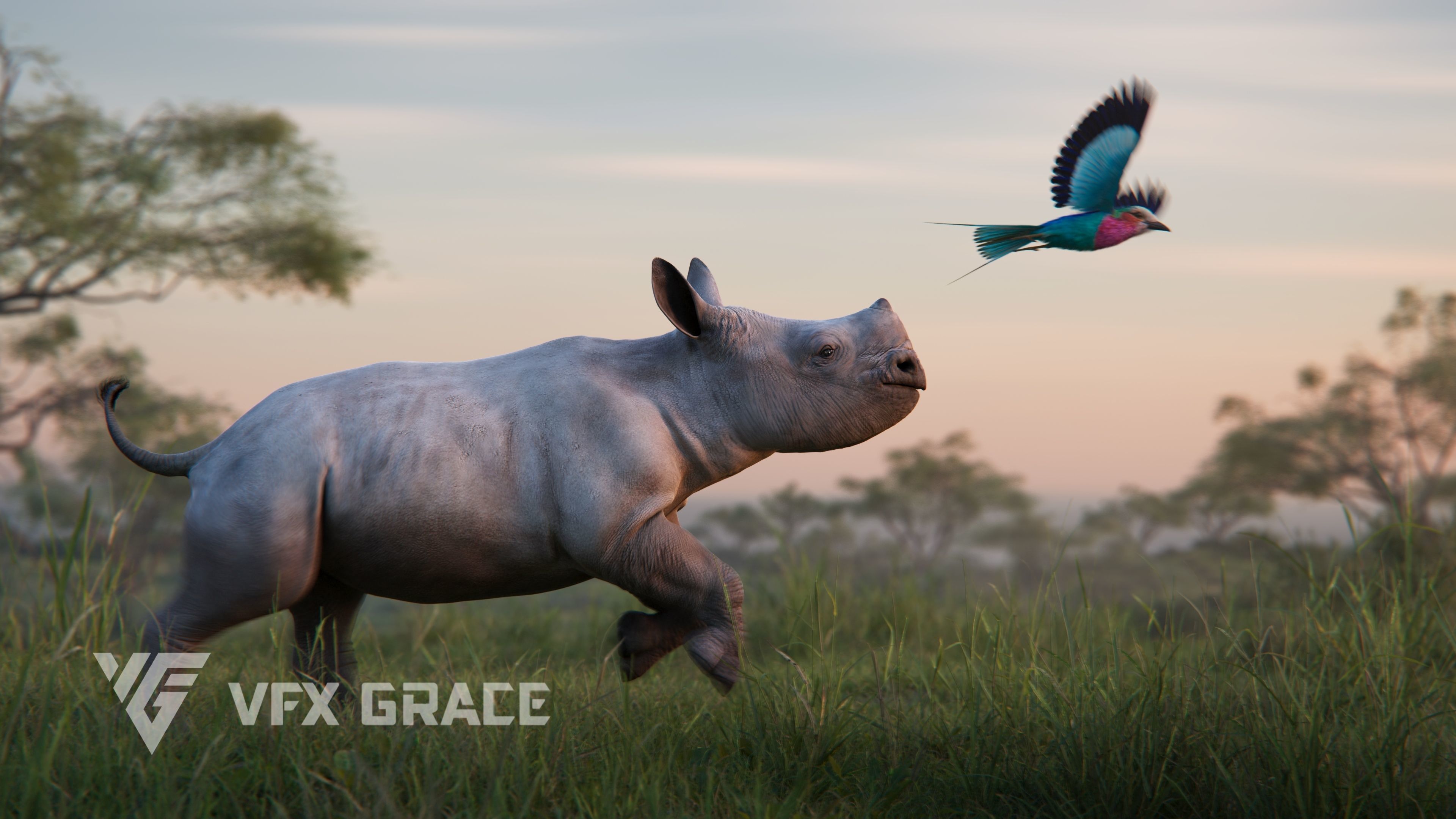 African Rhinoceros Animated VFX Grace 3D model_5