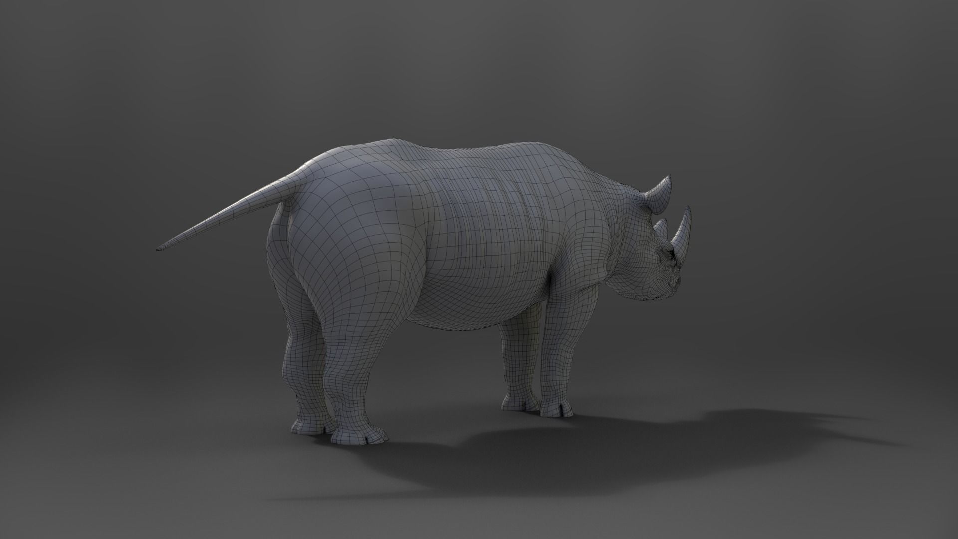 African Rhinoceros Animated VFX Grace 3D model_15