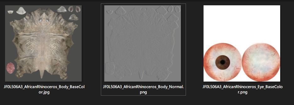 African Rhinoceros Animated VFX Grace 3D model_20