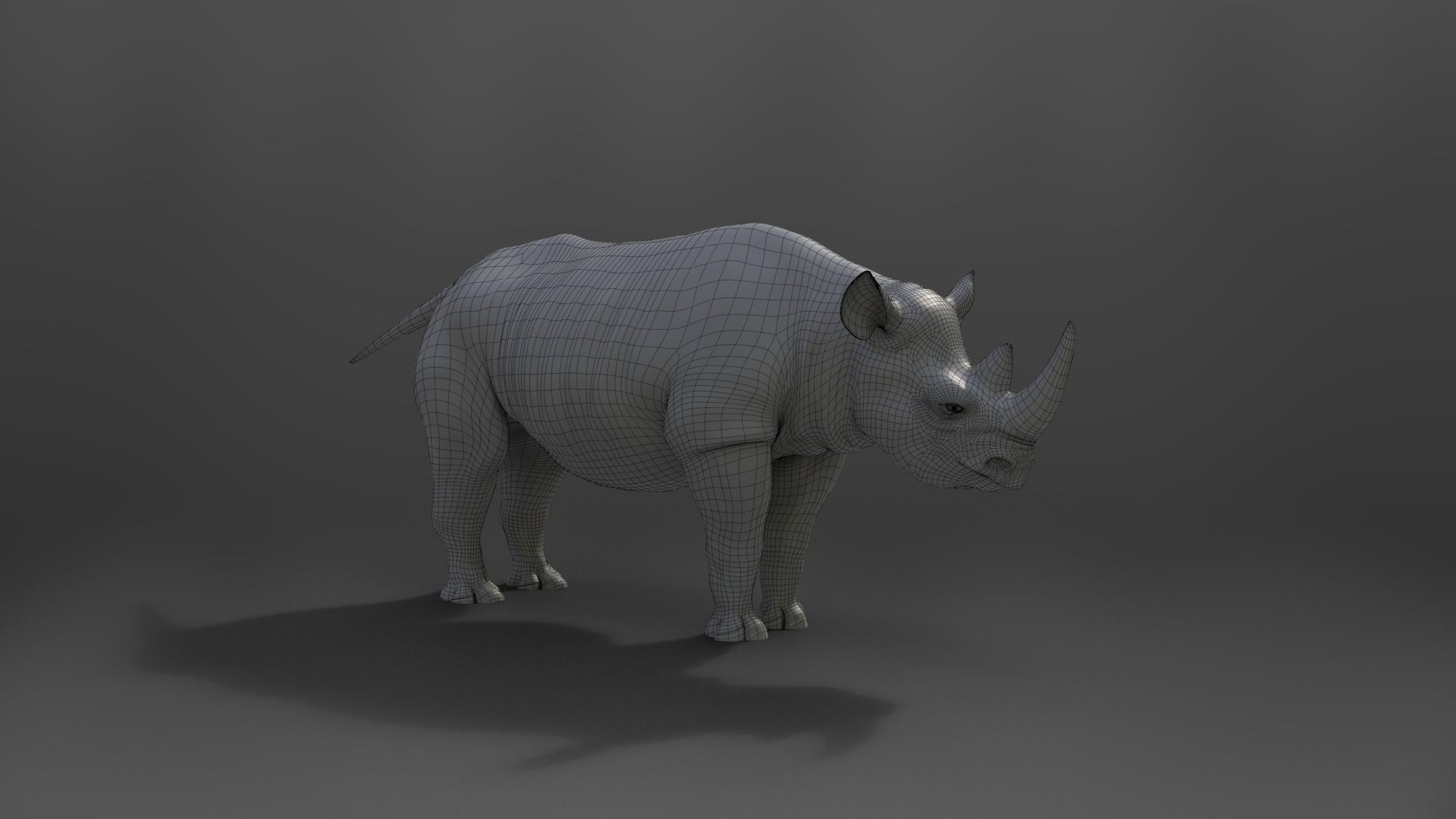 African Rhinoceros Animated VFX Grace 3D model_13