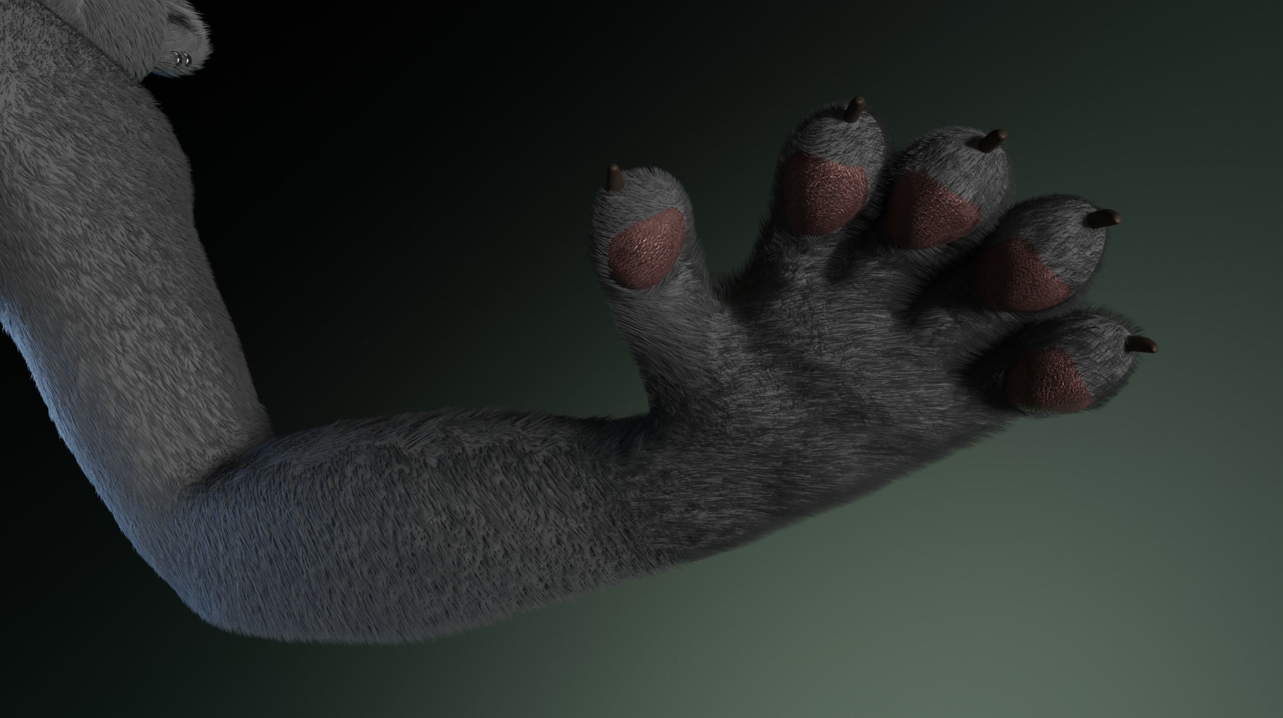 Tasha Anthro Panther 3D model_15