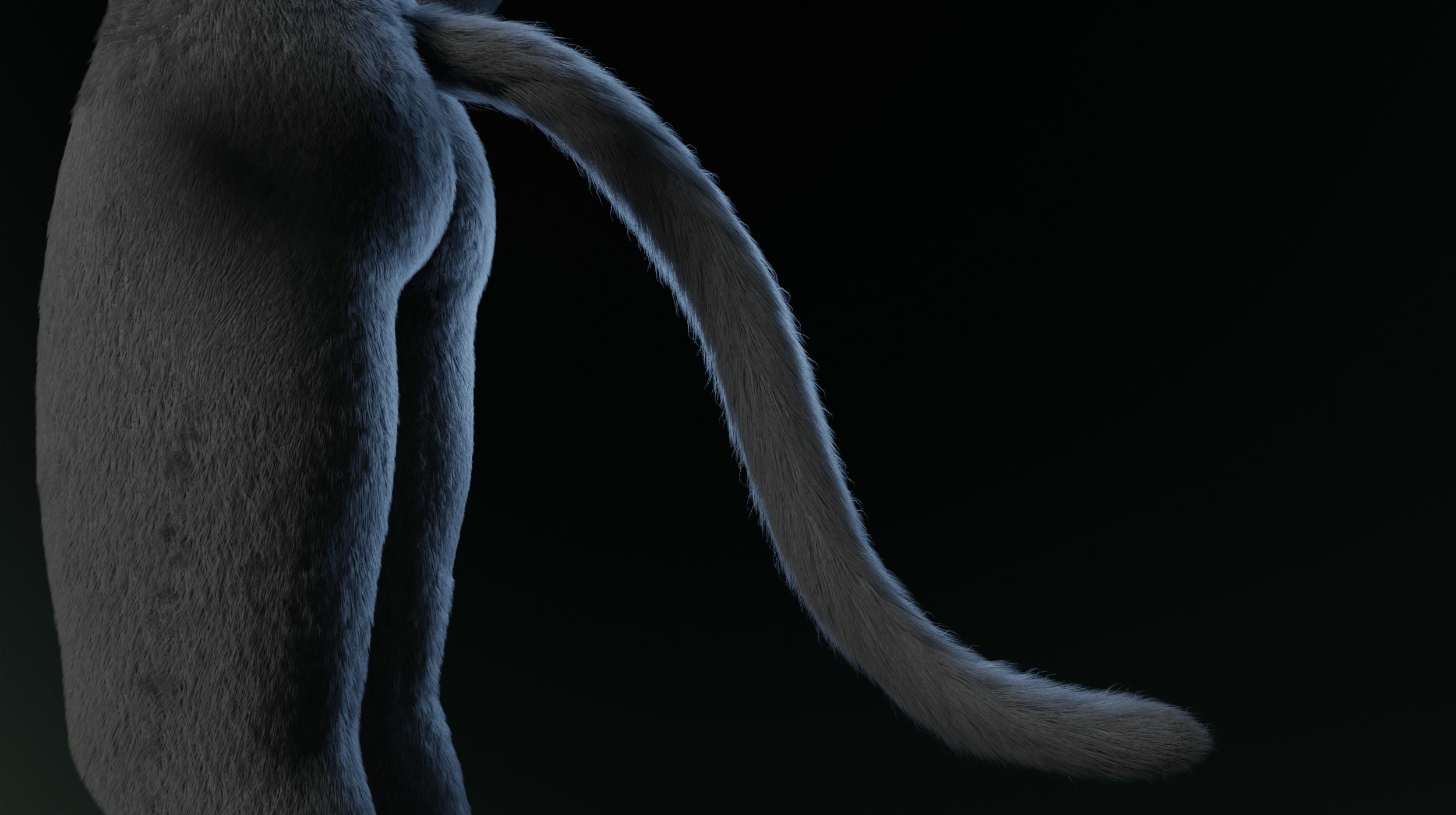 Tasha Anthro Panther 3D model_11