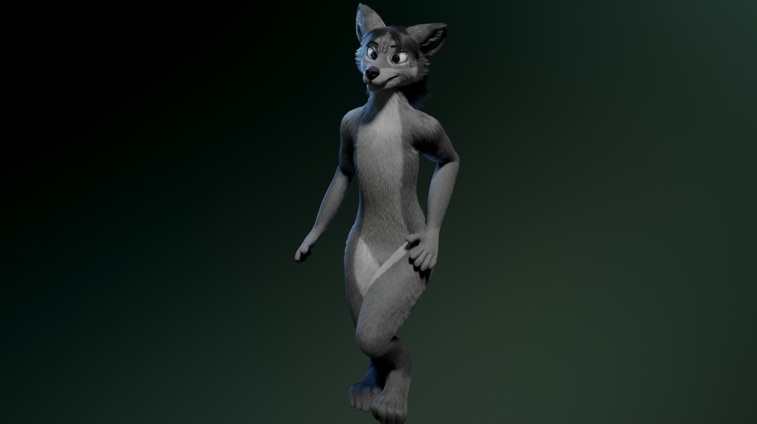 Helena Anthro Wolf 3D model_18