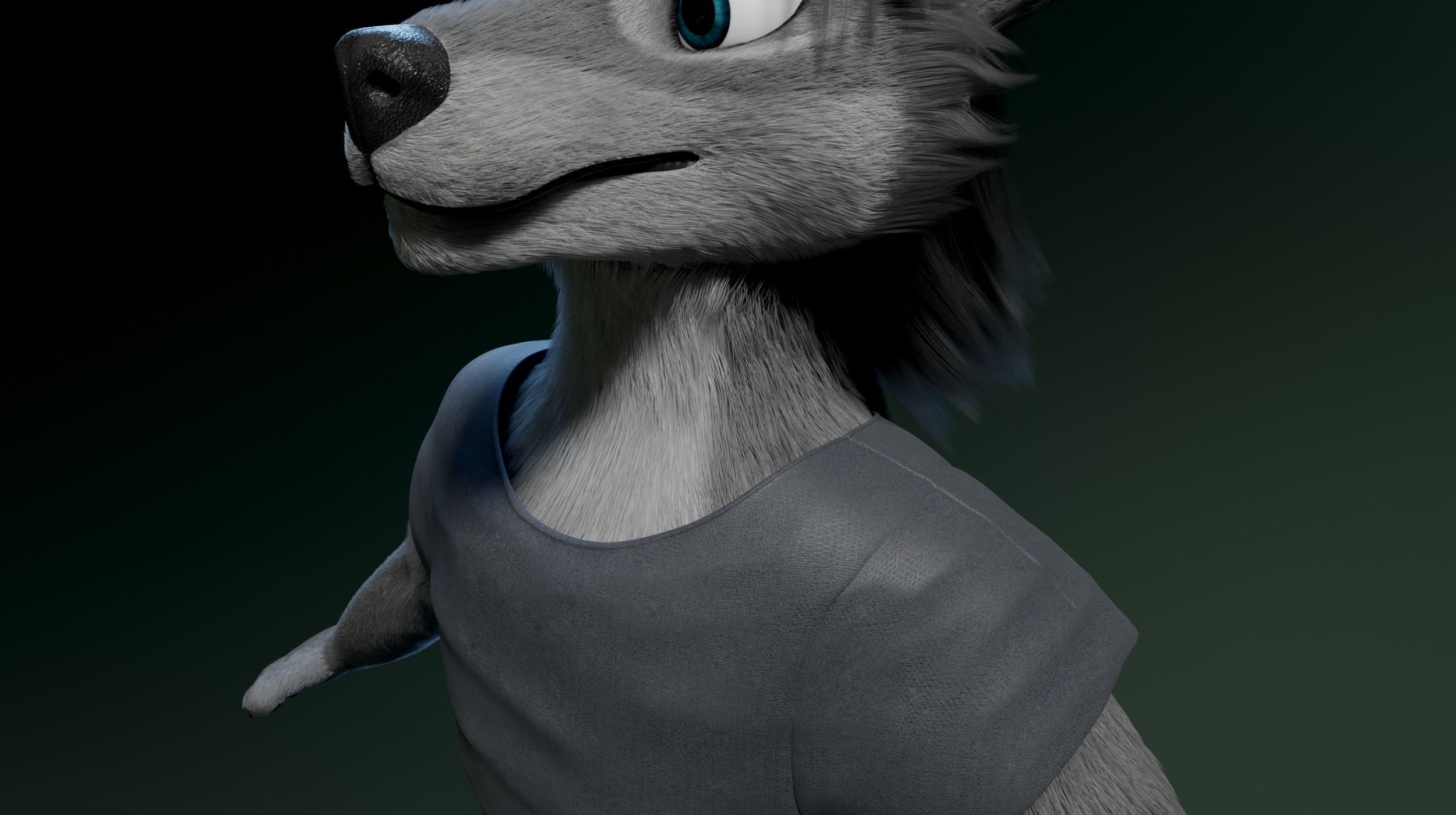 Helena Anthro Wolf 3D model_27