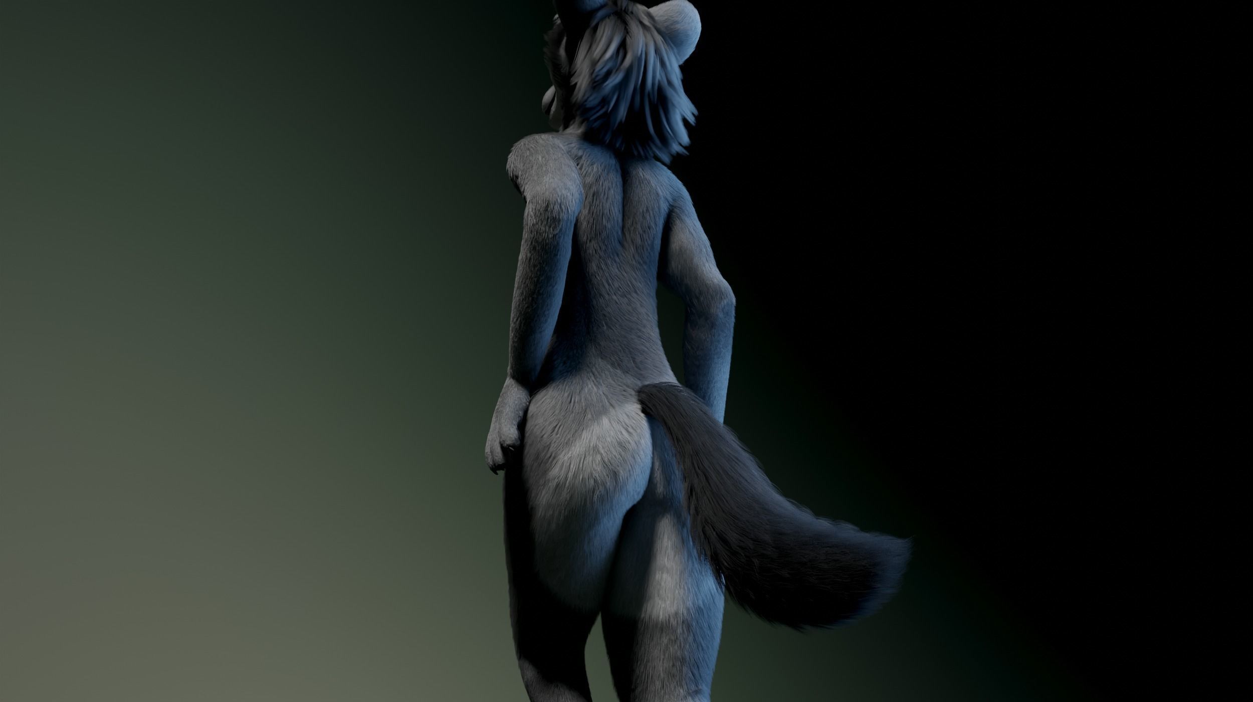 Helena Anthro Wolf 3D model_20