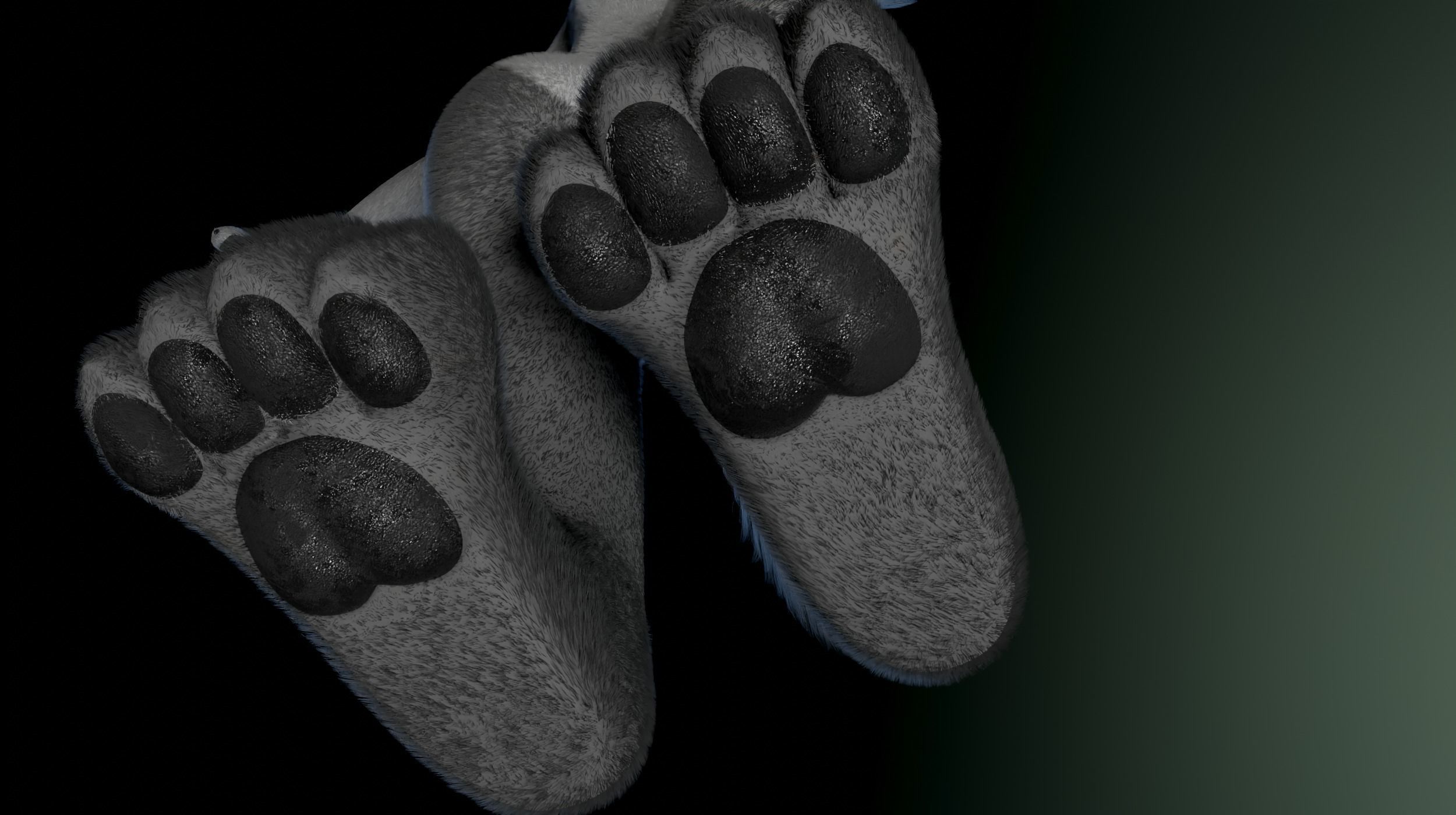 Helena Anthro Wolf 3D model_12