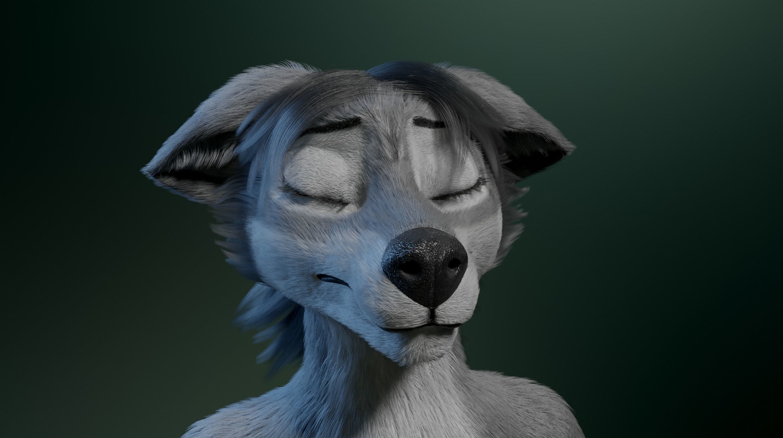 Helena Anthro Wolf 3D model_34