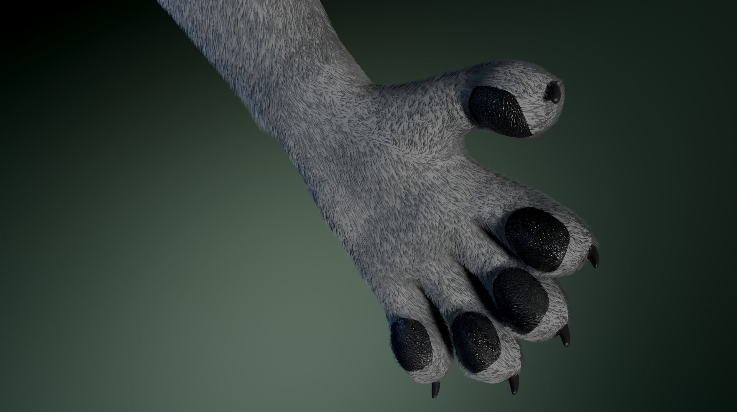 Helena Anthro Wolf 3D model_14