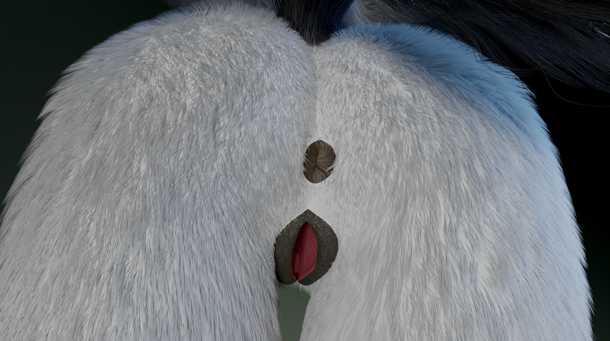 Helena Anthro Wolf 3D model_17