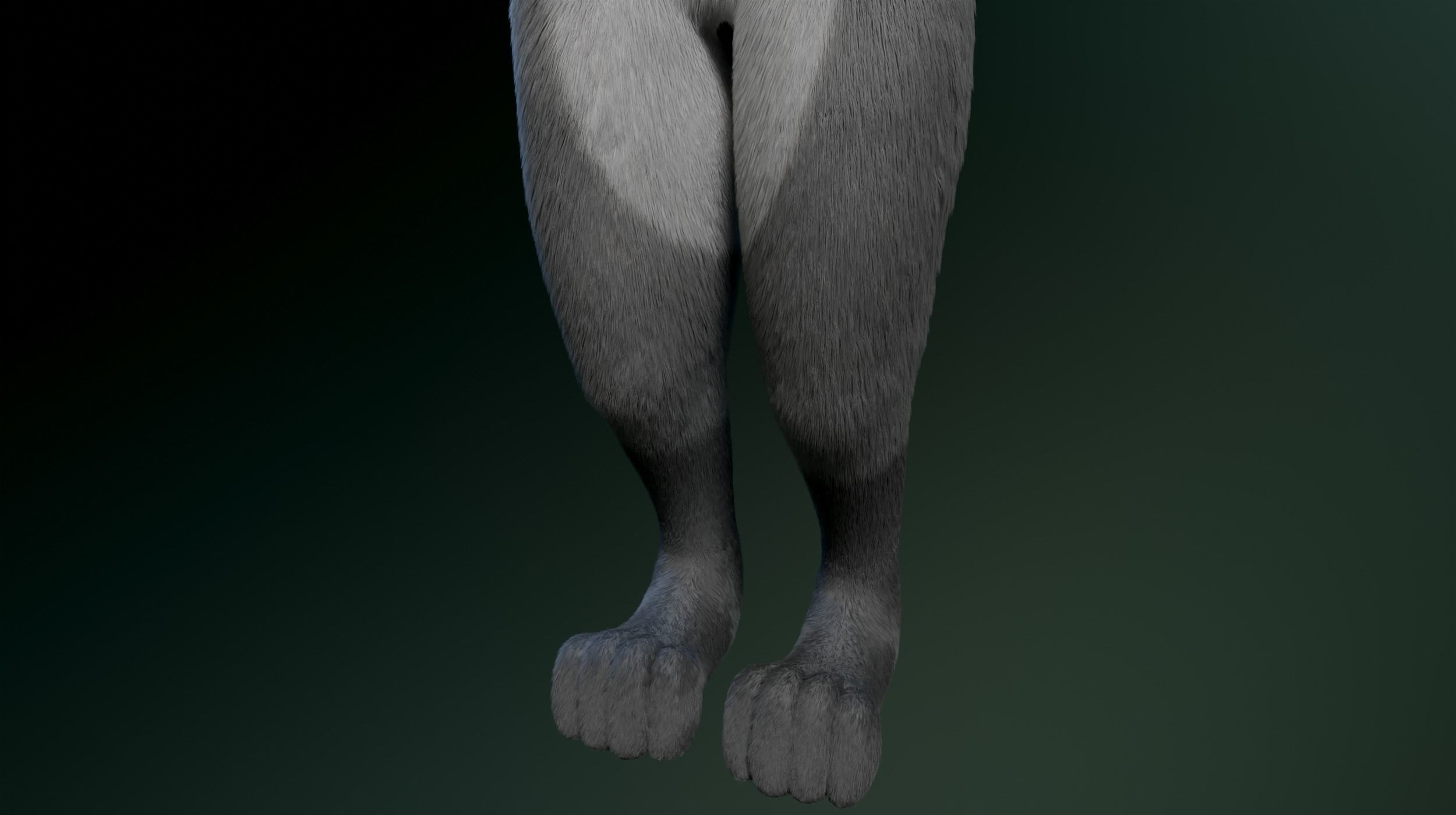 Helena Anthro Wolf 3D model_8