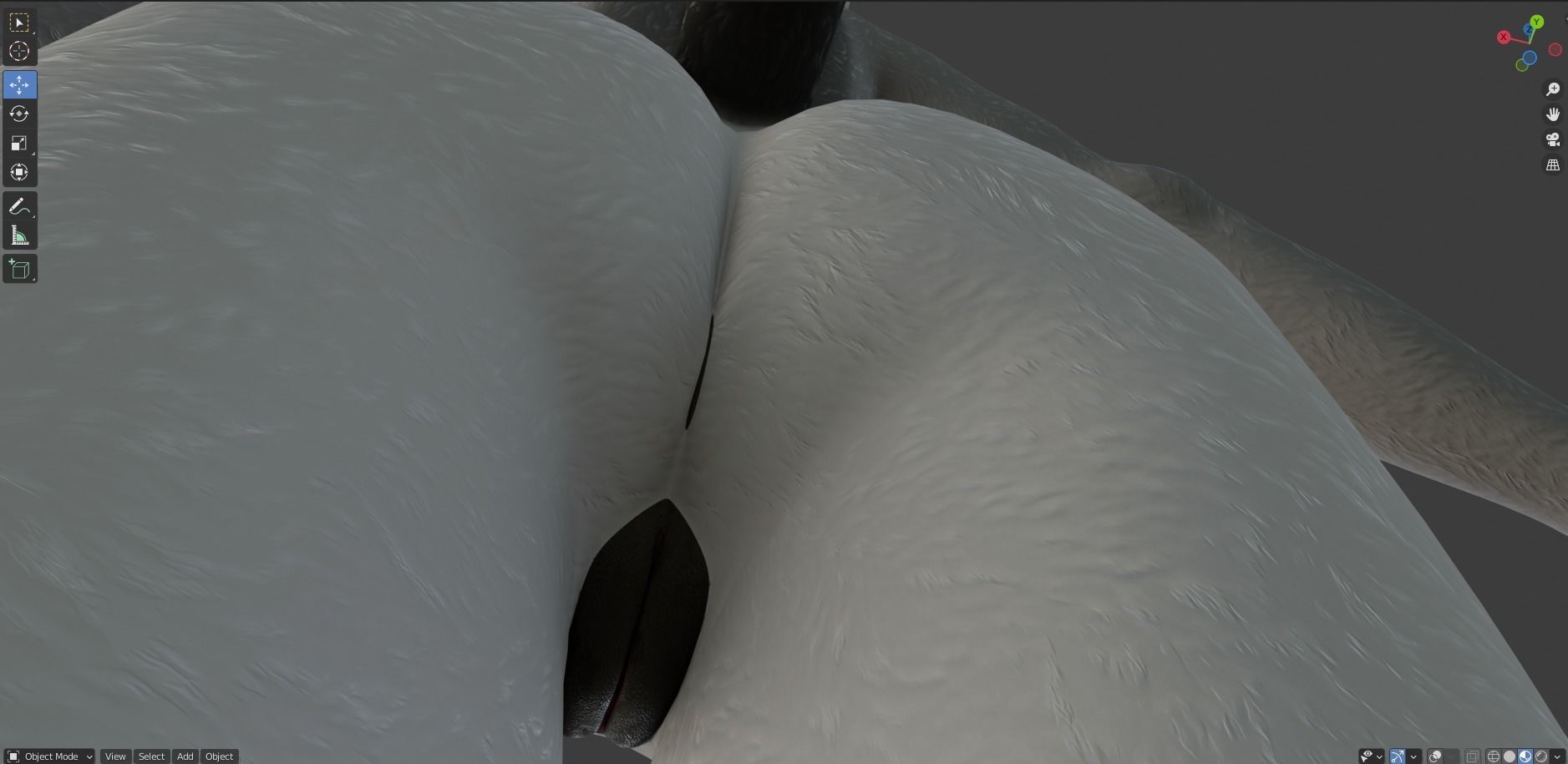 Helena Anthro Wolf 3D model_46