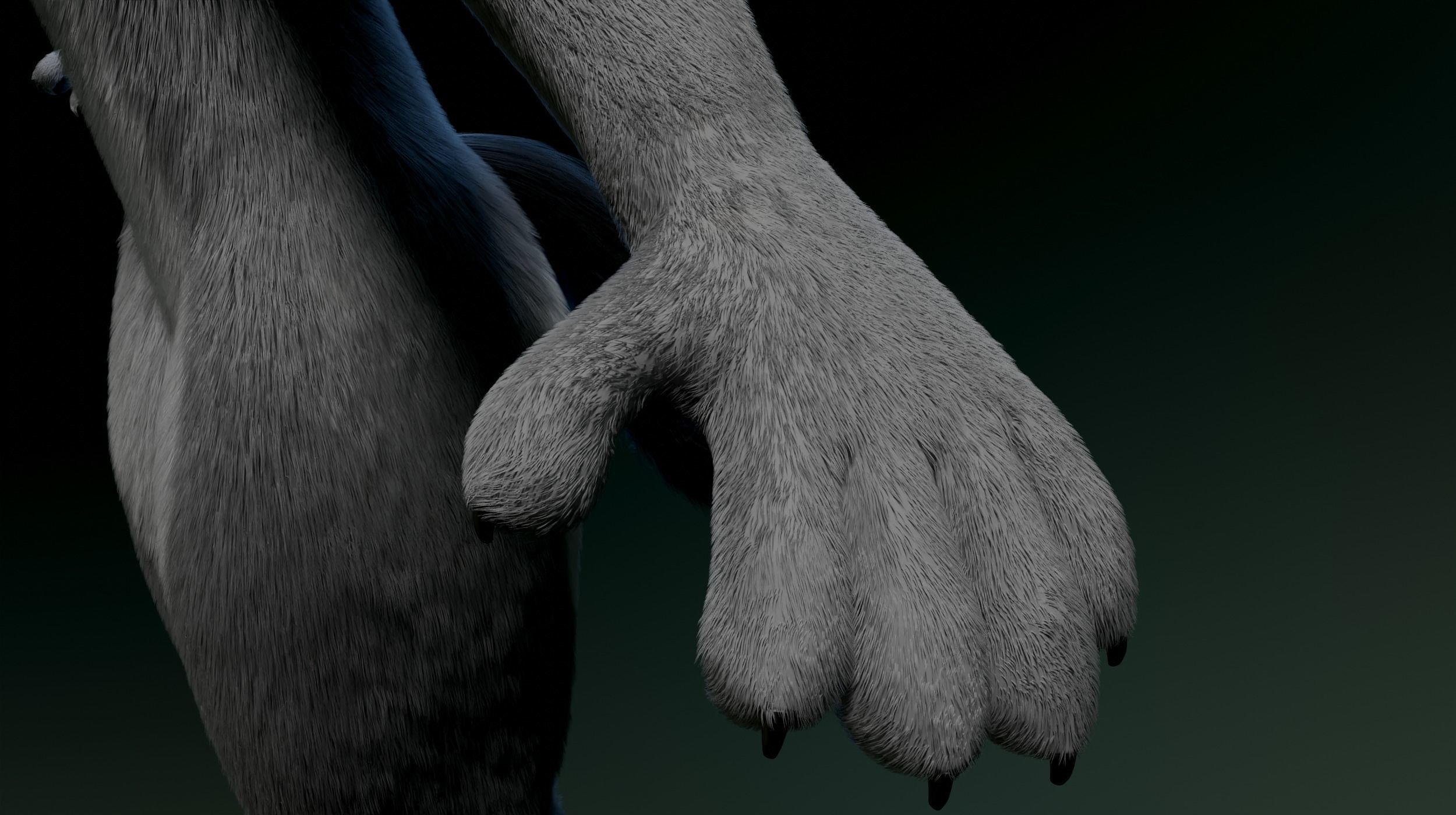 Helena Anthro Wolf 3D model_13