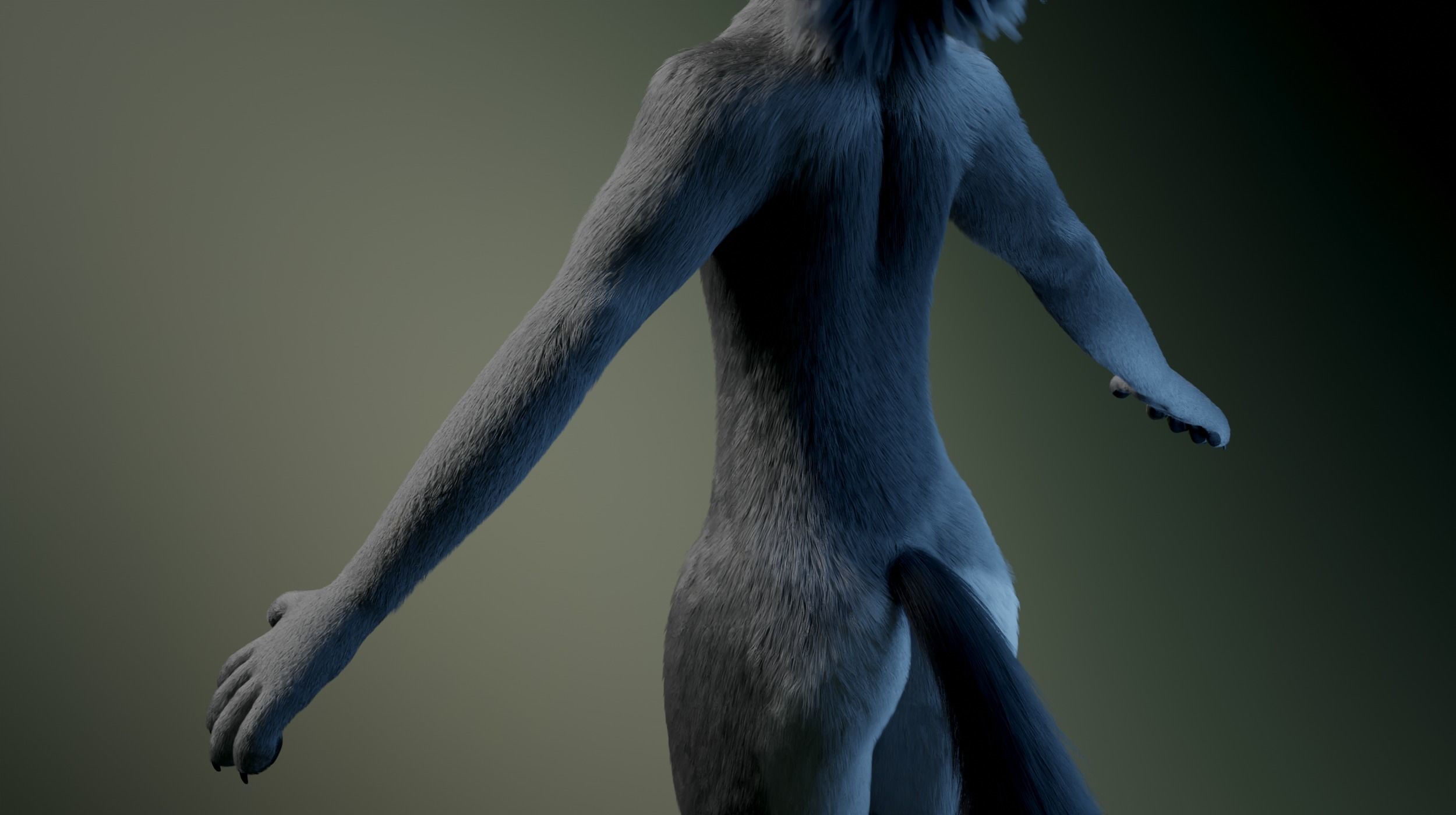 Helena Anthro Wolf 3D model_7