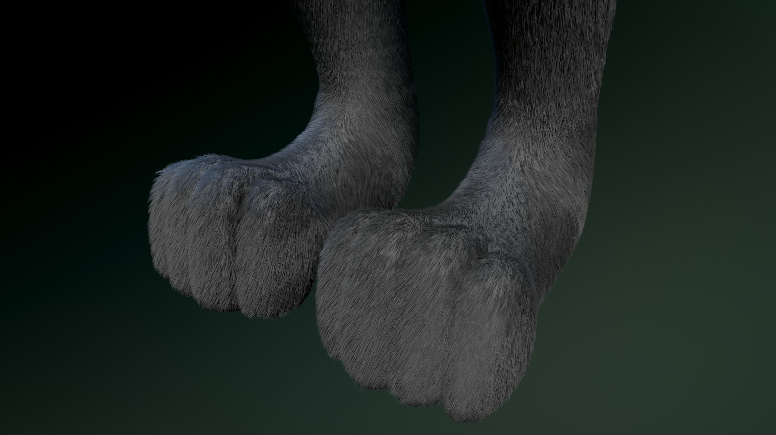 Helena Anthro Wolf 3D model_11