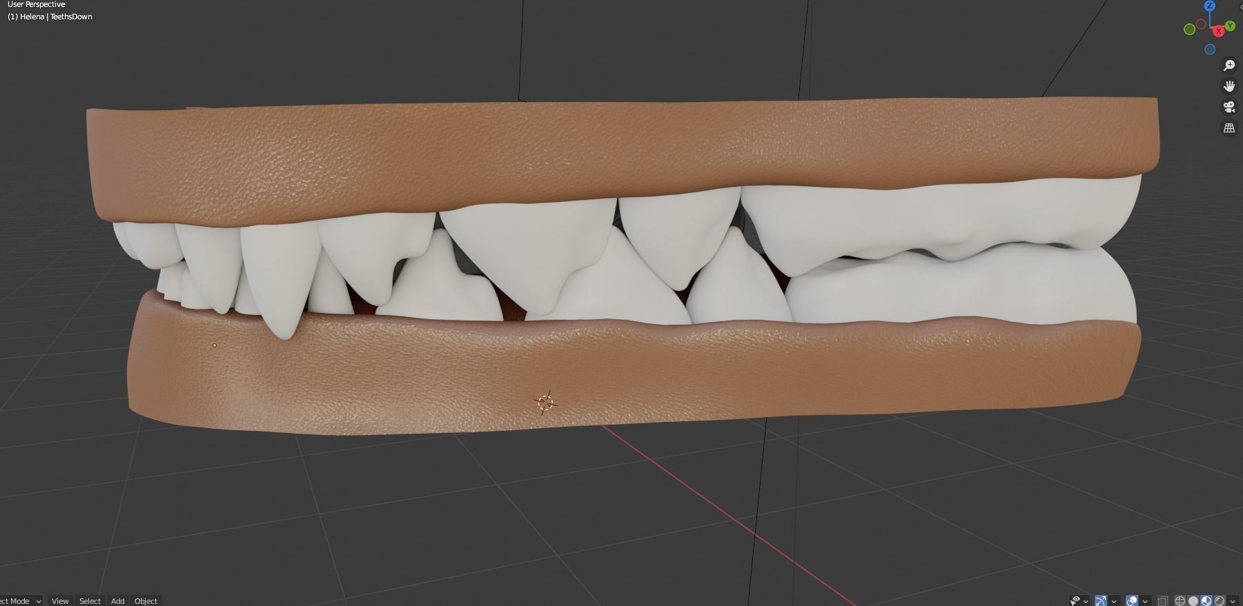 Helena Anthro Wolf 3D model_71