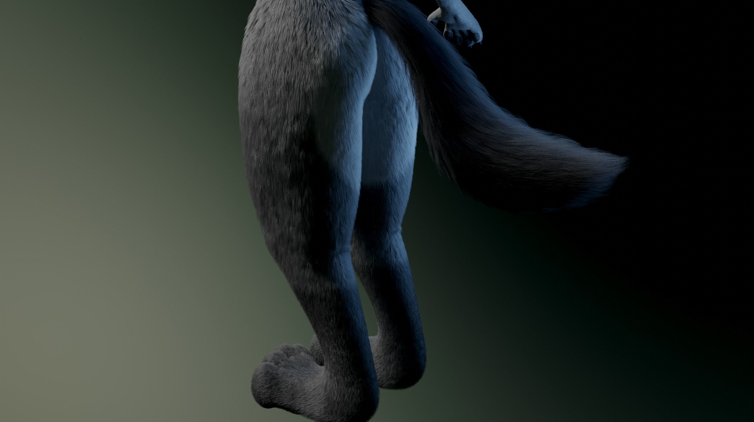 Helena Anthro Wolf 3D model_9