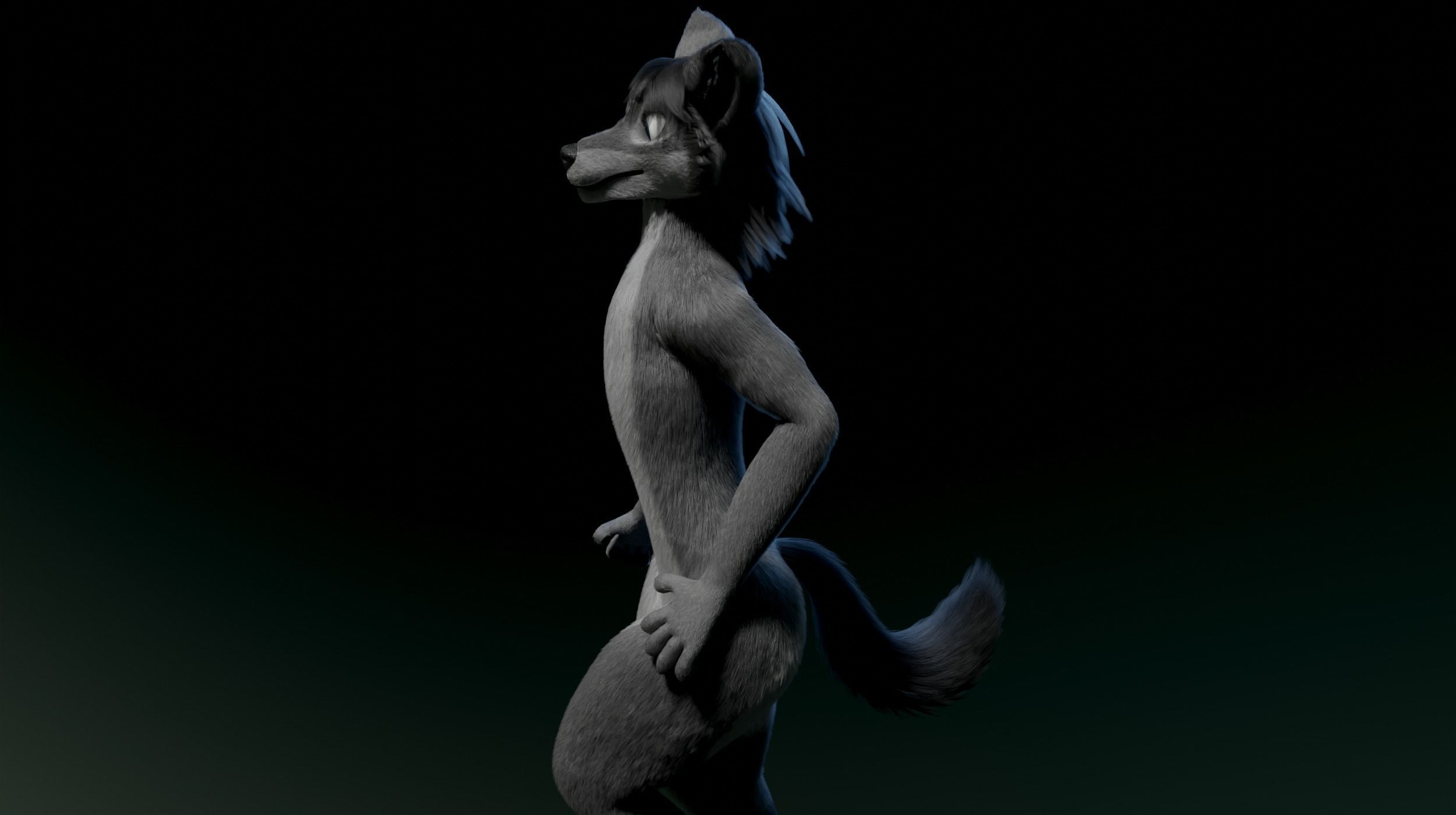 Helena Anthro Wolf 3D model_19