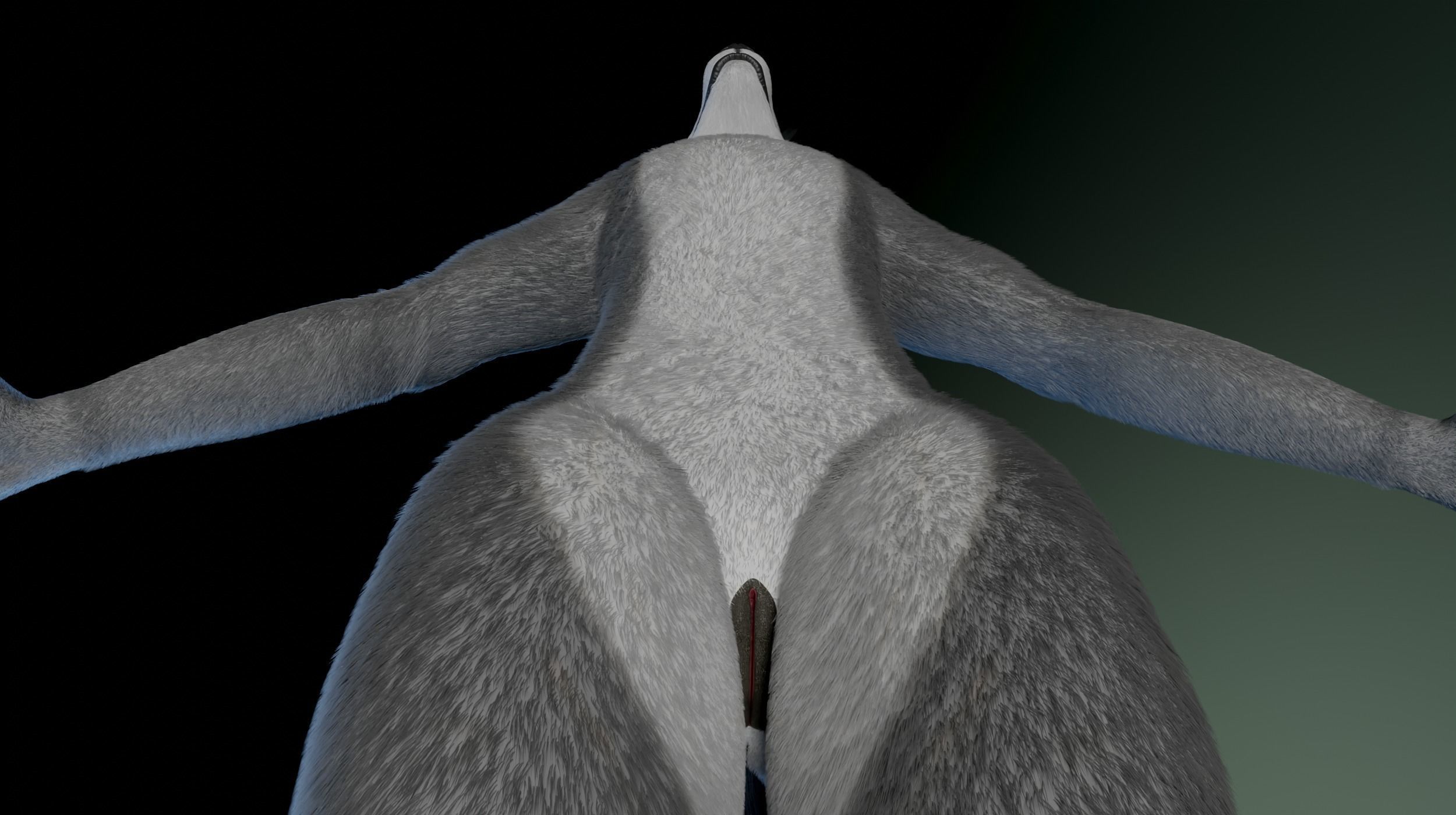 Helena Anthro Wolf 3D model_15