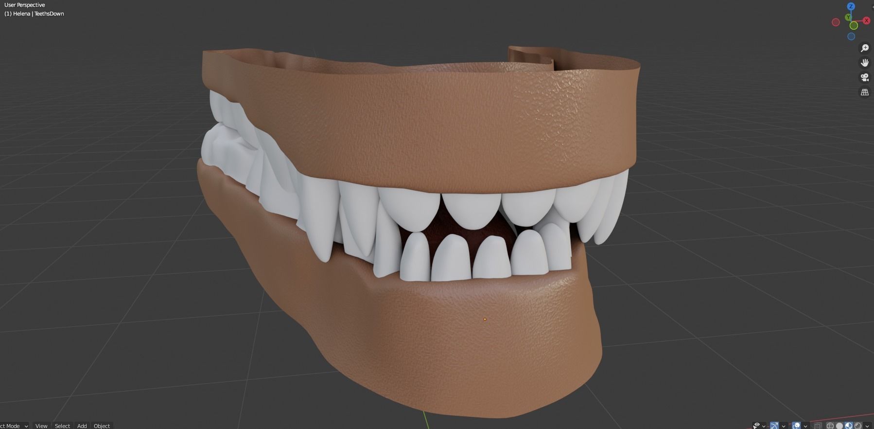 Helena Anthro Wolf 3D model_70