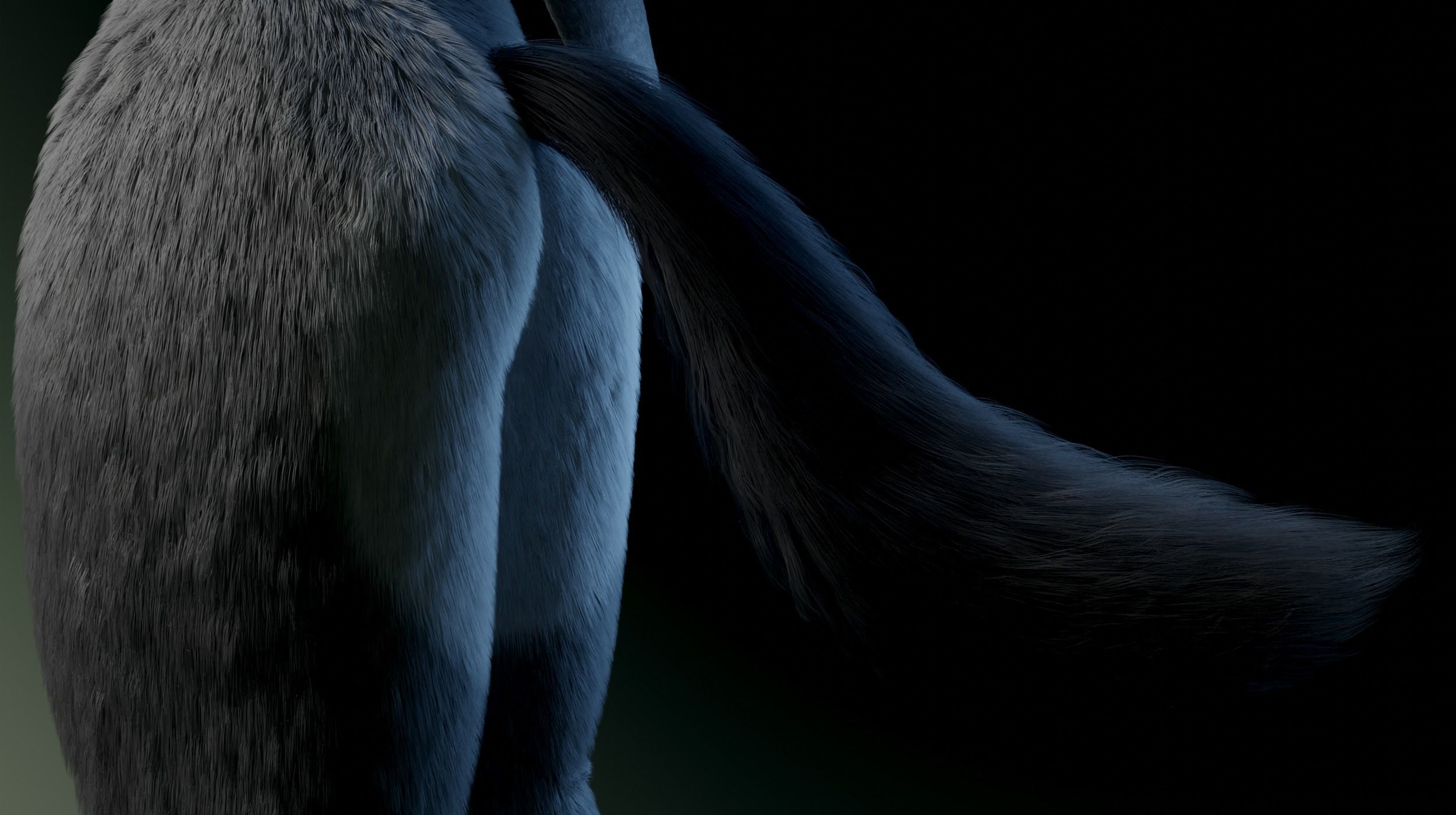 Helena Anthro Wolf 3D model_10