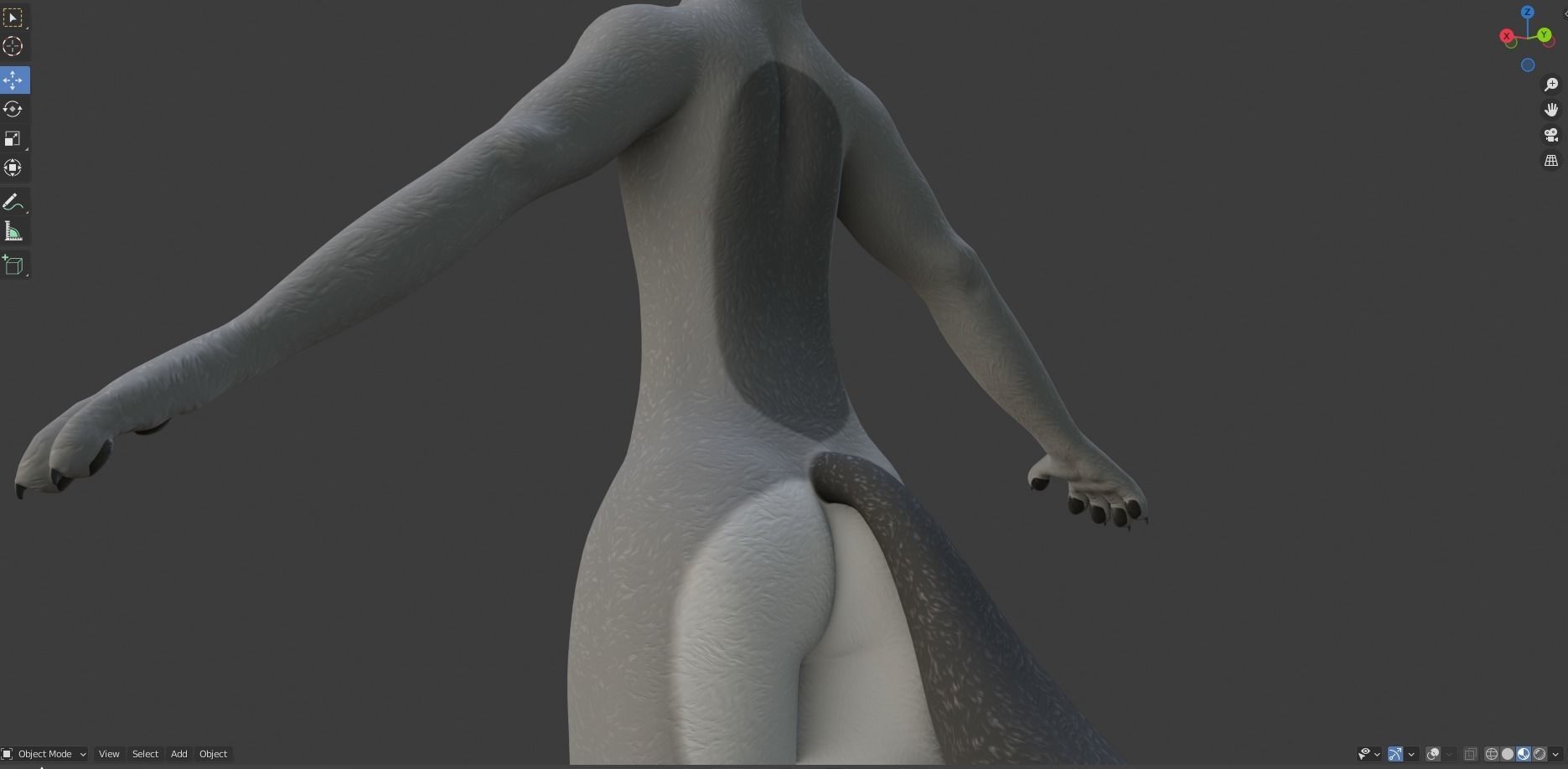 Helena Anthro Wolf 3D model_44